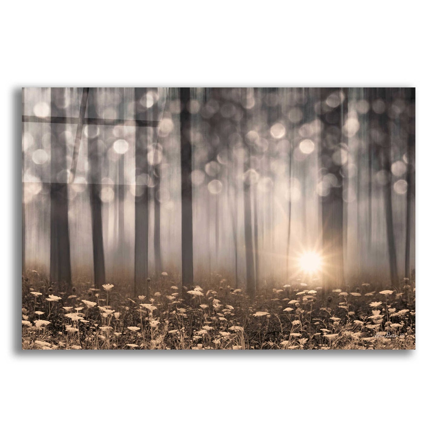 Epic Art 'Enchanted Morning' by Lori Deiter Acrylic Glass Wall Art,24x16