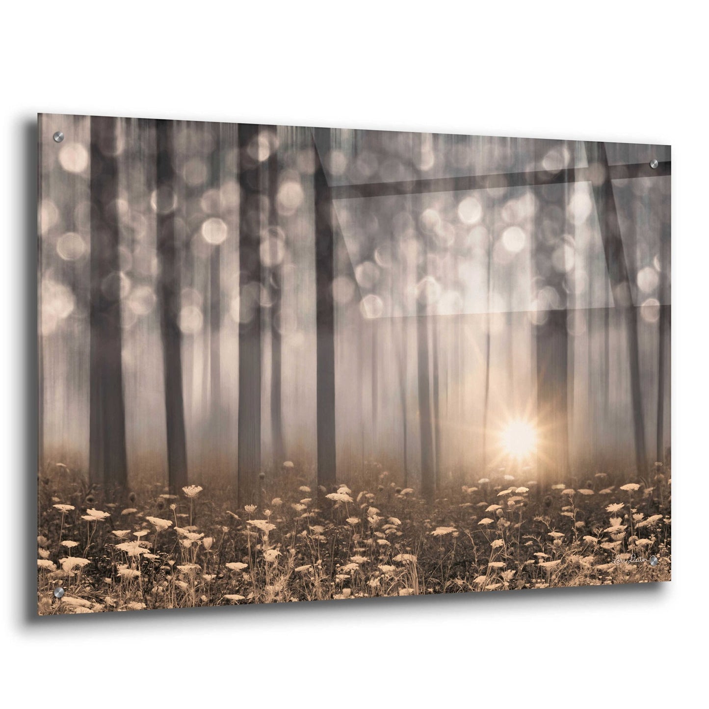 Epic Art 'Enchanted Morning' by Lori Deiter Acrylic Glass Wall Art,36x24