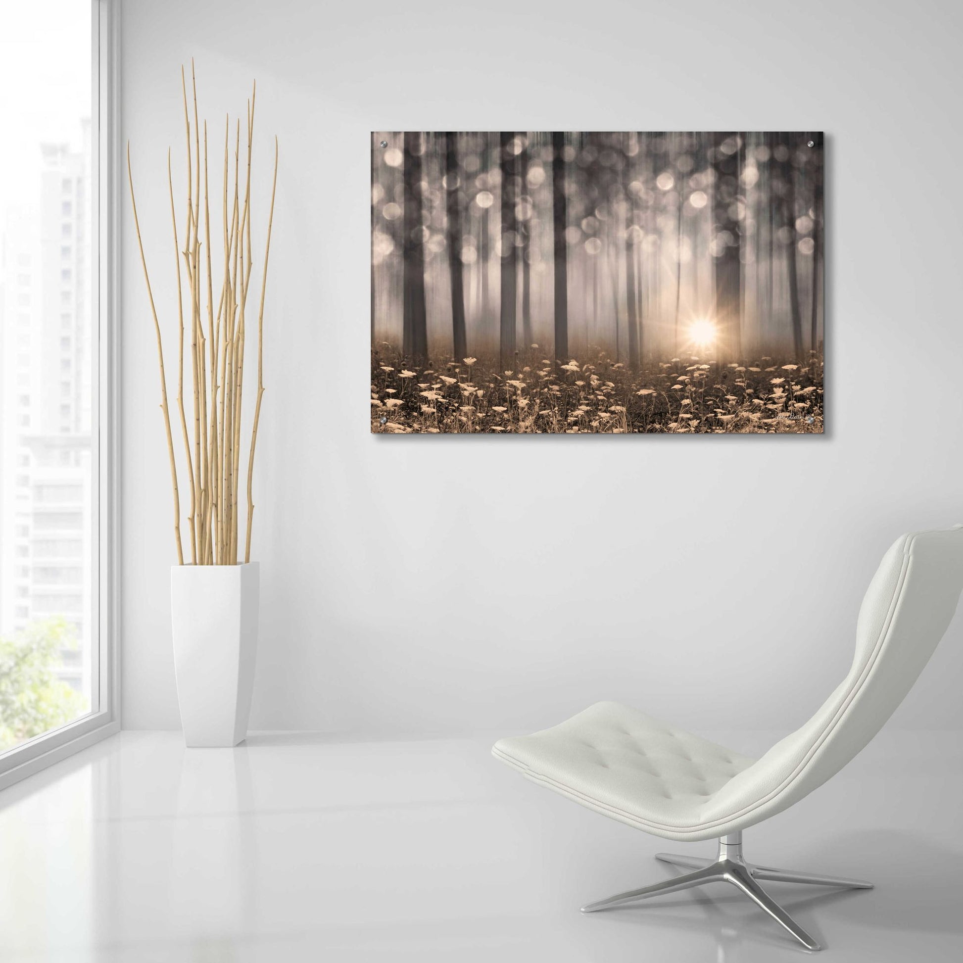 Epic Art 'Enchanted Morning' by Lori Deiter Acrylic Glass Wall Art,36x24