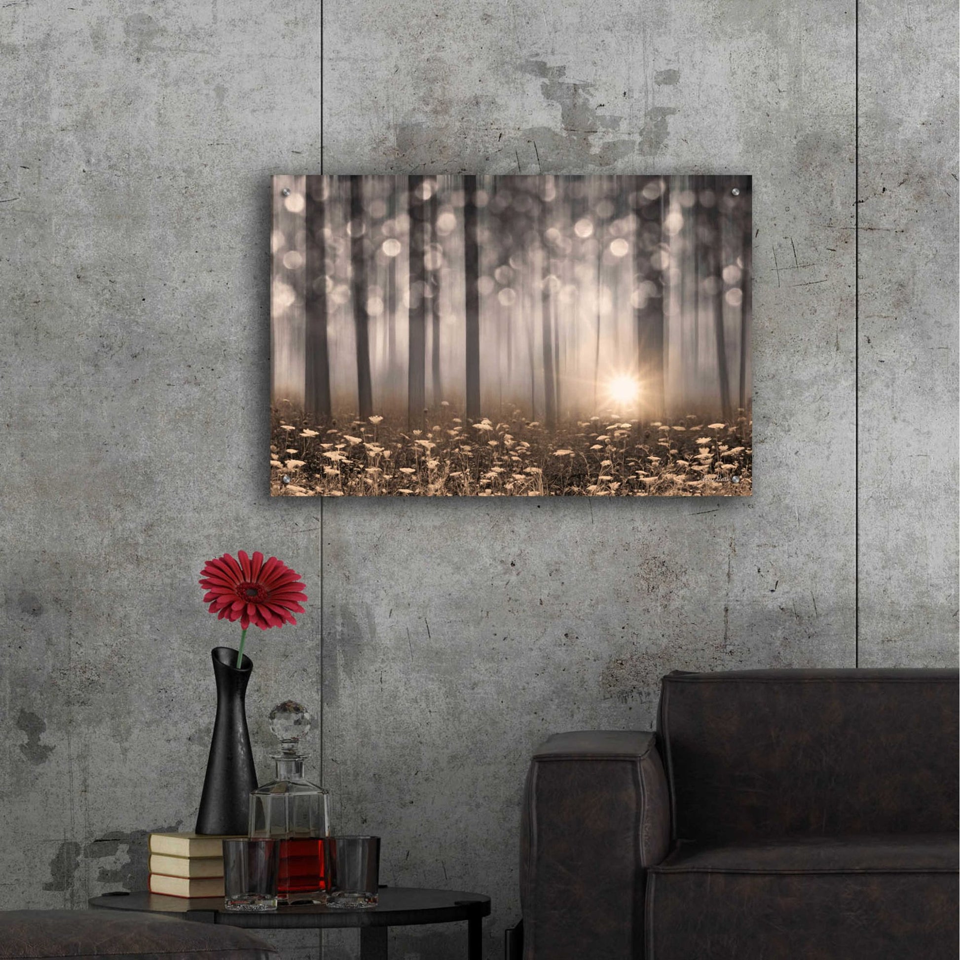 Epic Art 'Enchanted Morning' by Lori Deiter Acrylic Glass Wall Art,36x24