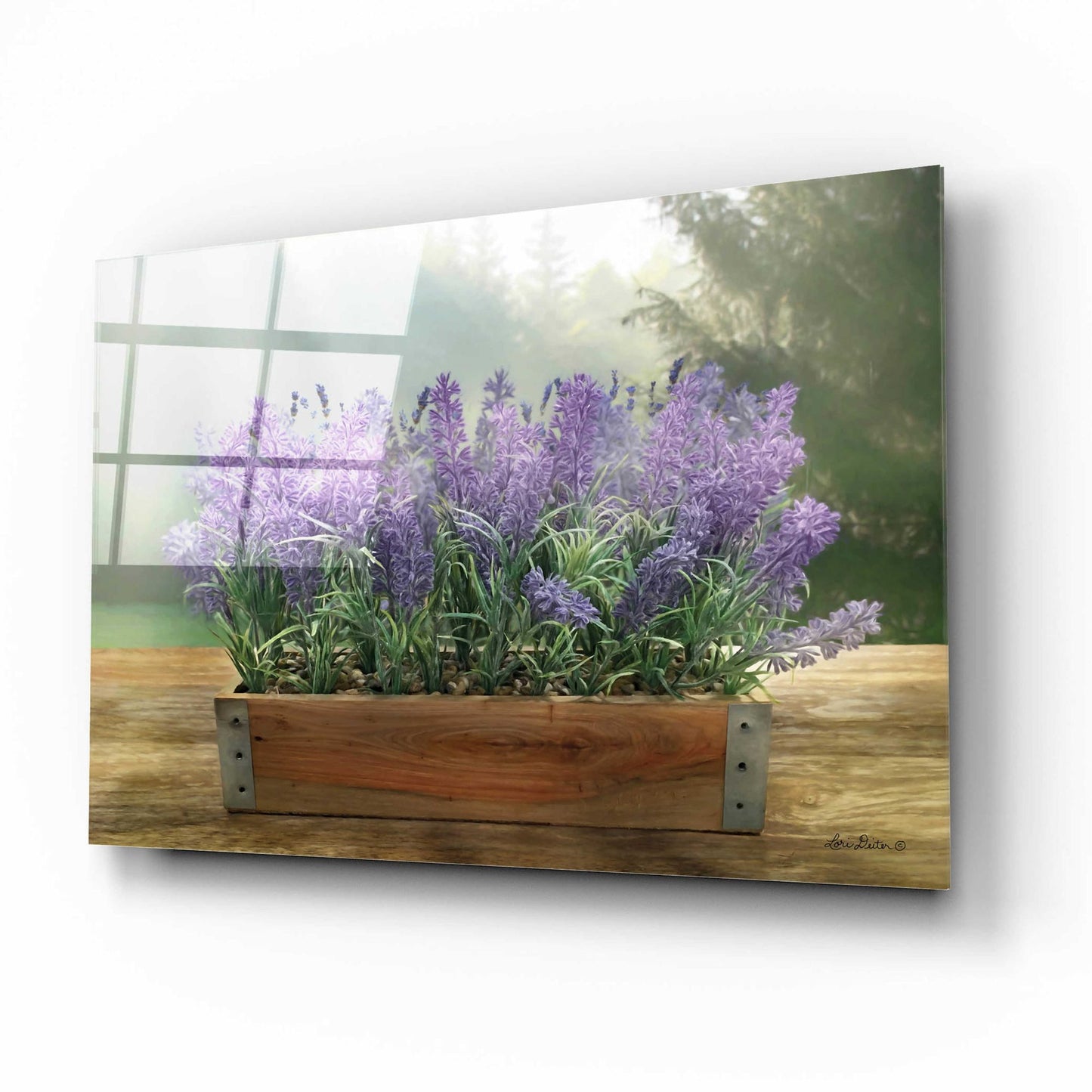 Epic Art 'Lavender Planter' by Lori Deiter Acrylic Glass Wall Art,16x12