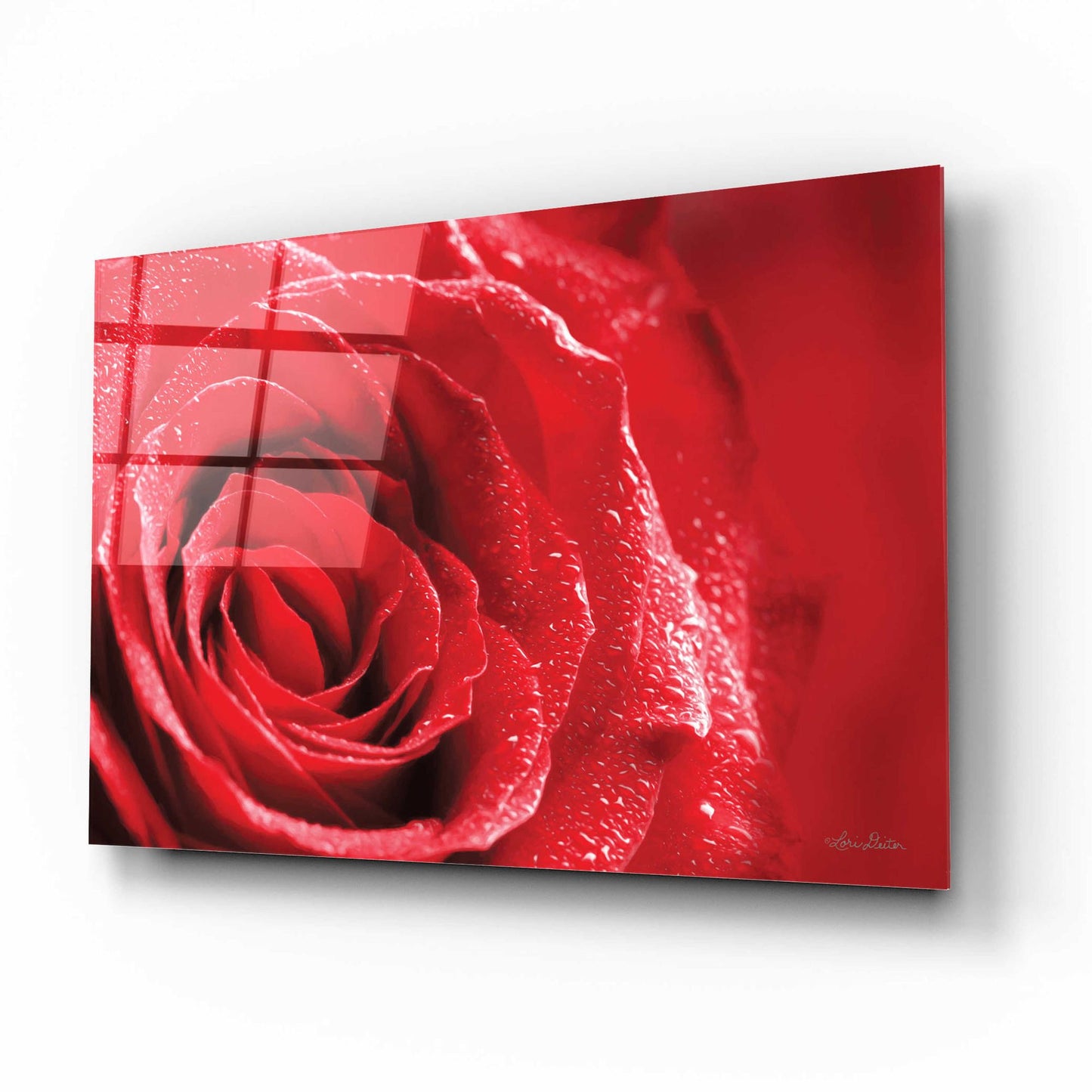 Epic Art 'Red Rose After Rain' by Lori Deiter Acrylic Glass Wall Art,16x12