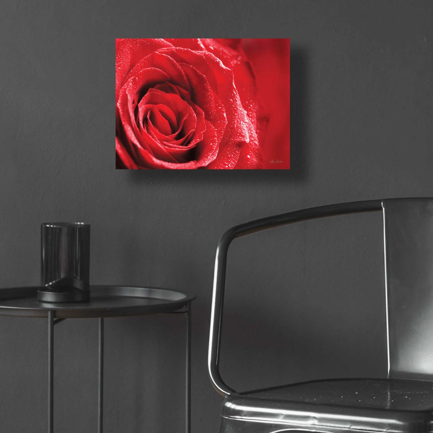 Epic Art 'Red Rose After Rain' by Lori Deiter Acrylic Glass Wall Art,16x12