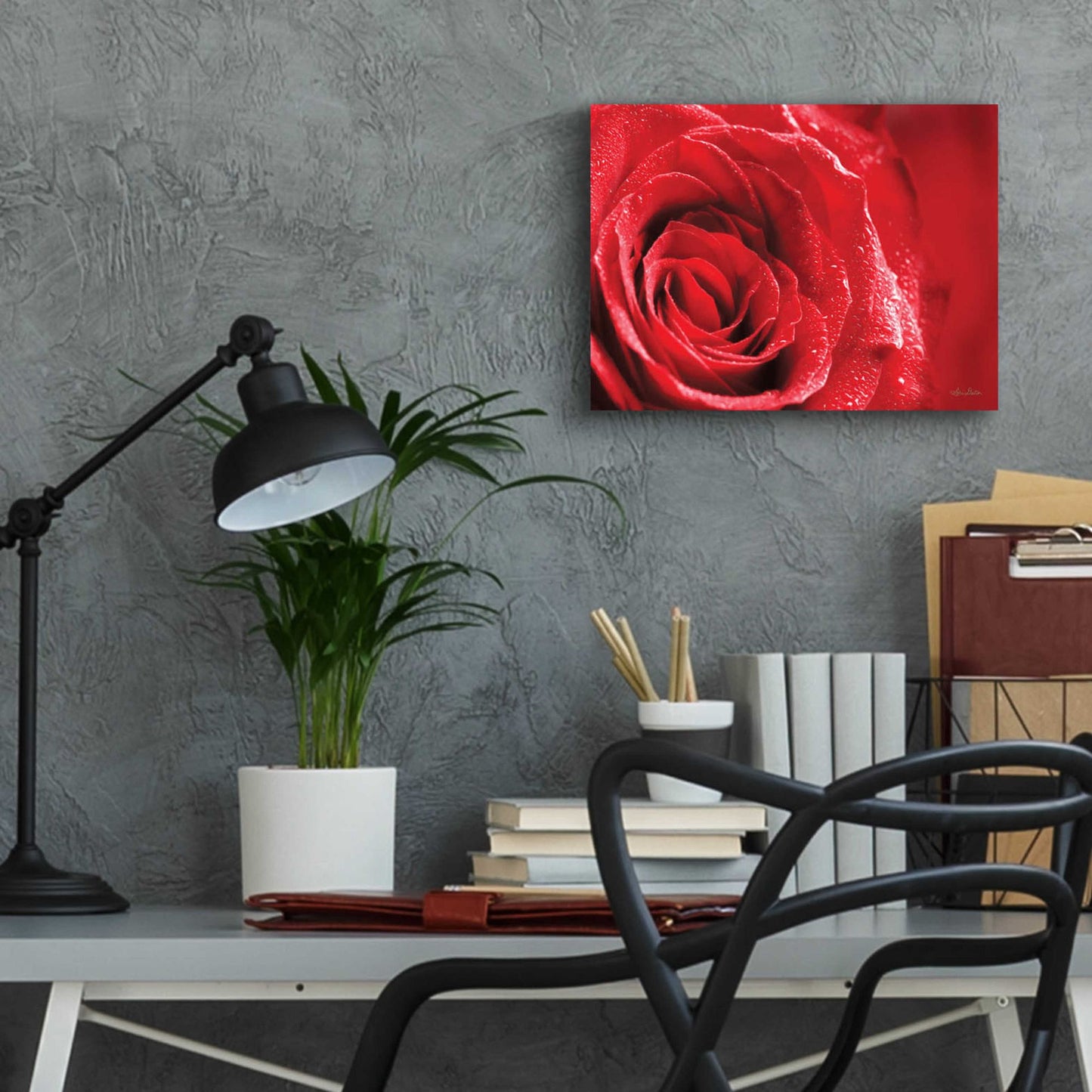 Epic Art 'Red Rose After Rain' by Lori Deiter Acrylic Glass Wall Art,16x12