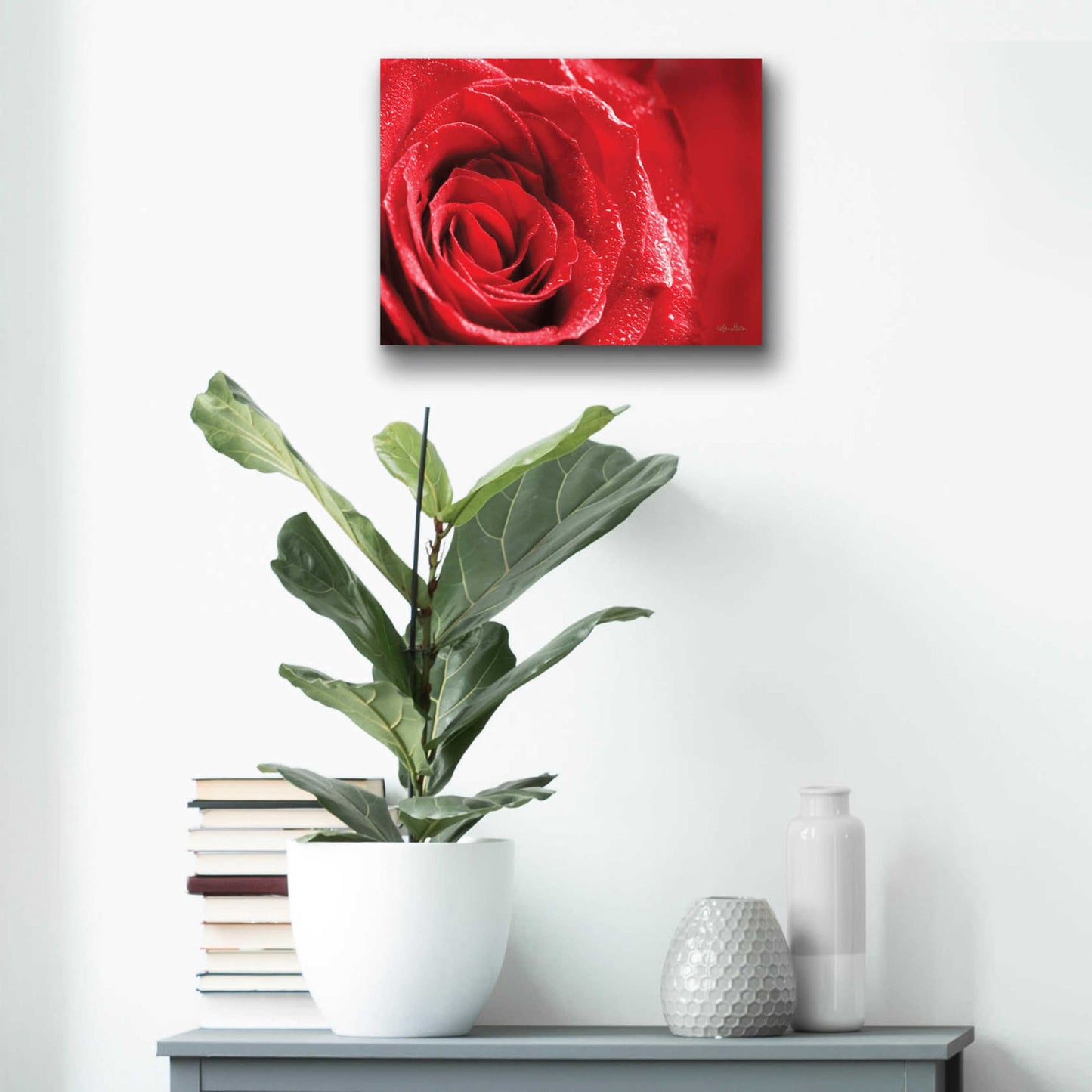 Epic Art 'Red Rose After Rain' by Lori Deiter Acrylic Glass Wall Art,16x12