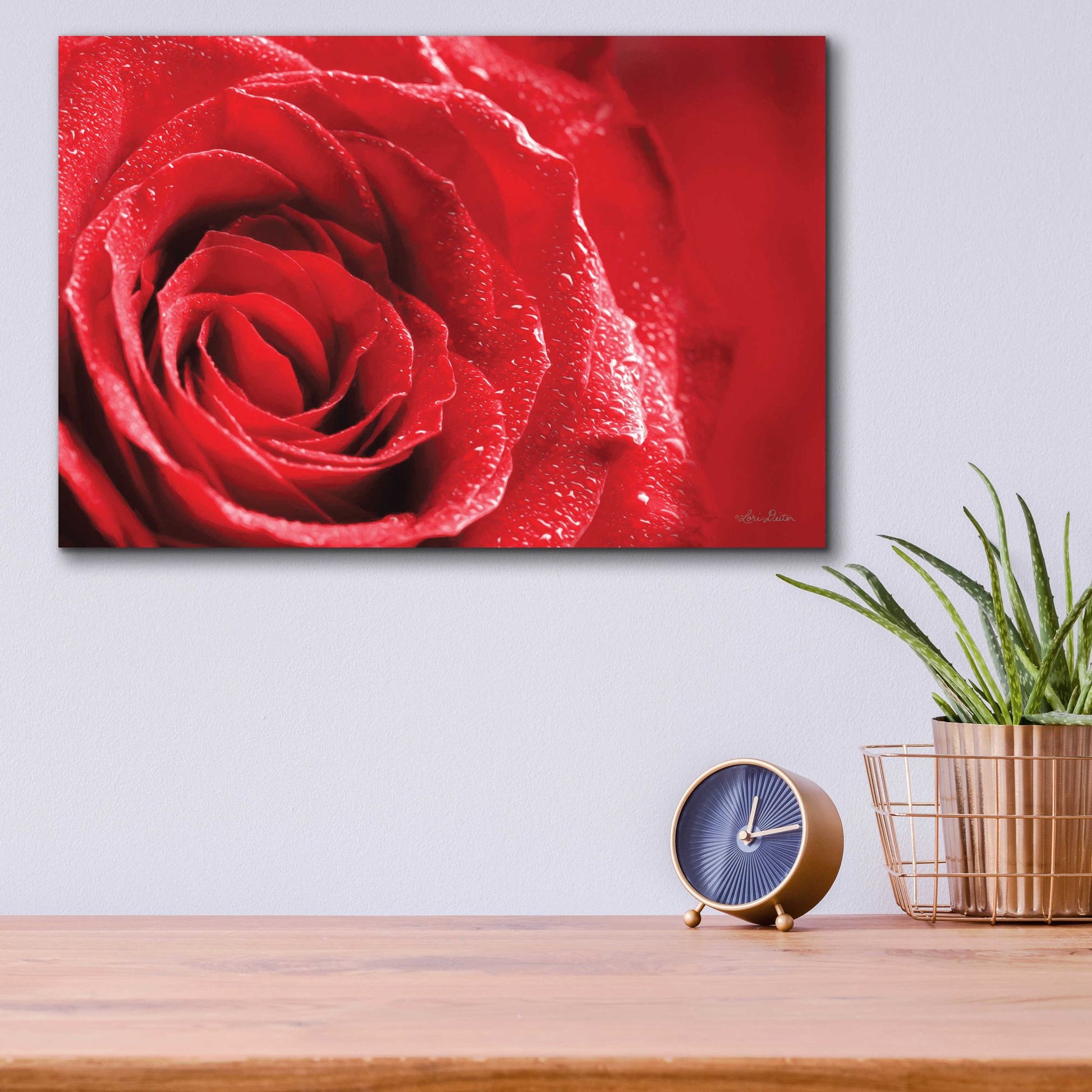 Epic Art 'Red Rose After Rain' by Lori Deiter Acrylic Glass Wall Art,16x12