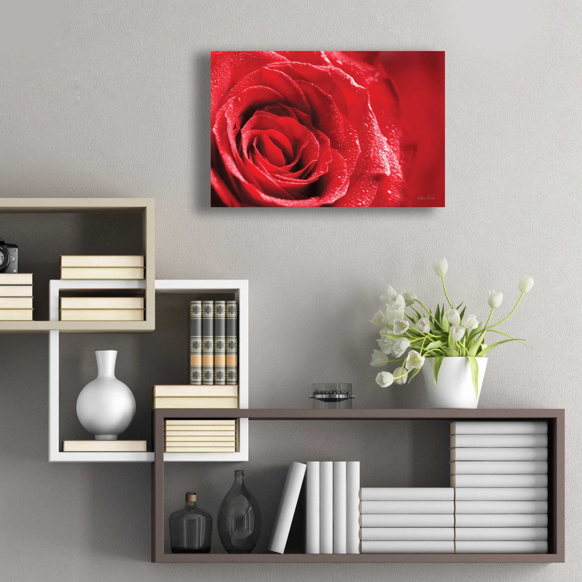 Epic Art 'Red Rose After Rain' by Lori Deiter Acrylic Glass Wall Art,24x16