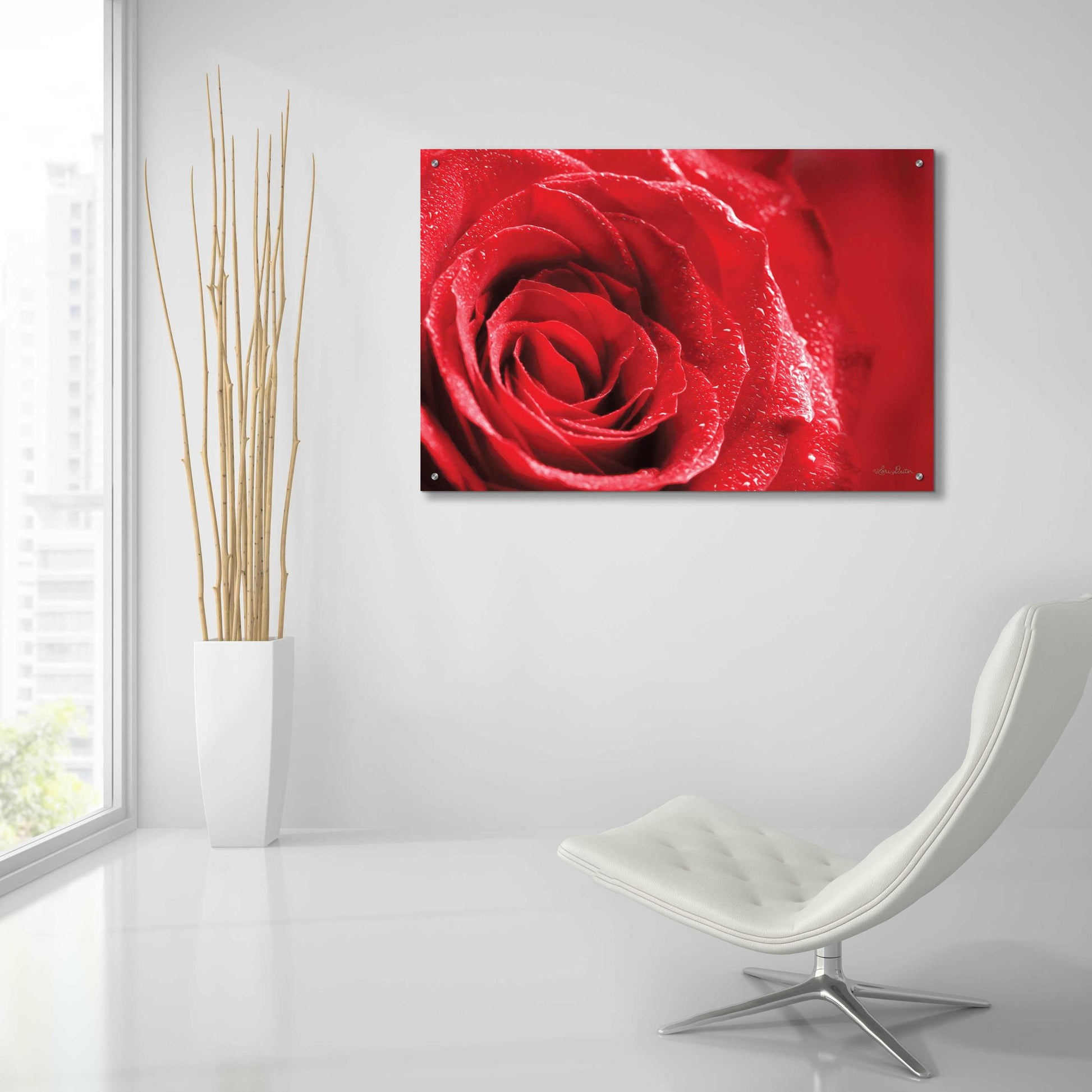 Epic Art 'Red Rose After Rain' by Lori Deiter Acrylic Glass Wall Art,36x24