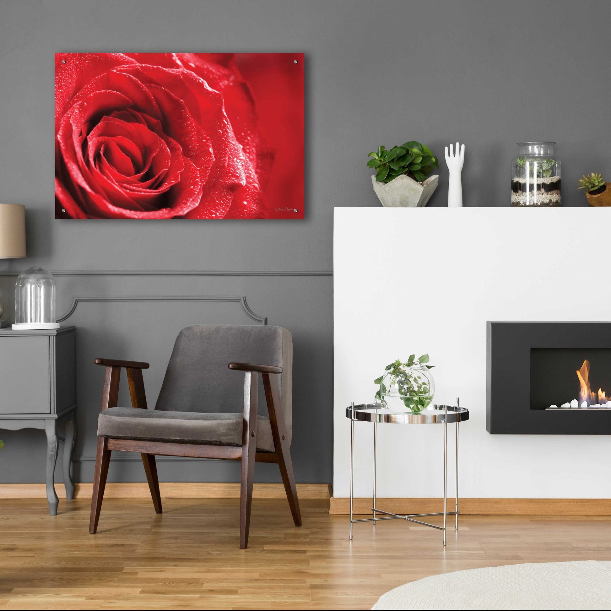 Epic Art 'Red Rose After Rain' by Lori Deiter Acrylic Glass Wall Art,36x24