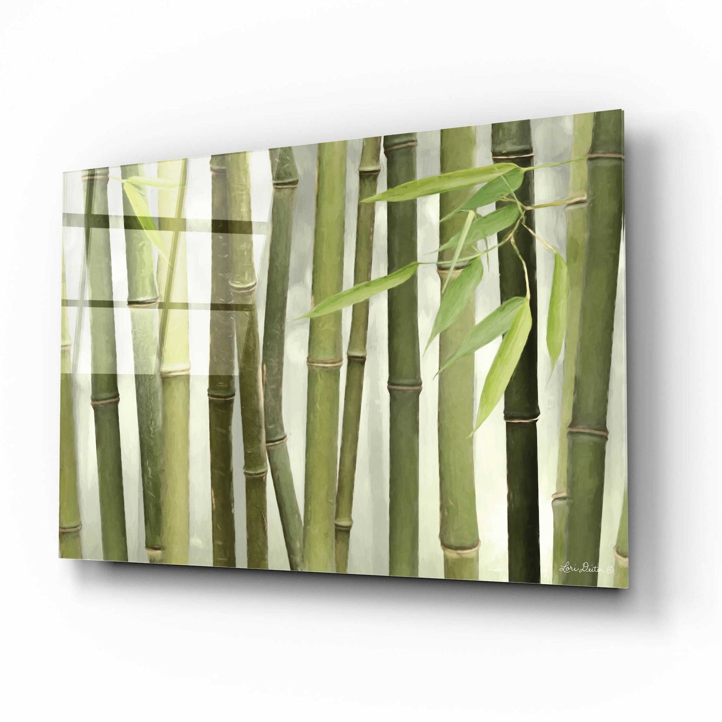 Epic Art 'Backlit Bamboo I' by Lori Deiter Acrylic Glass Wall Art,16x12