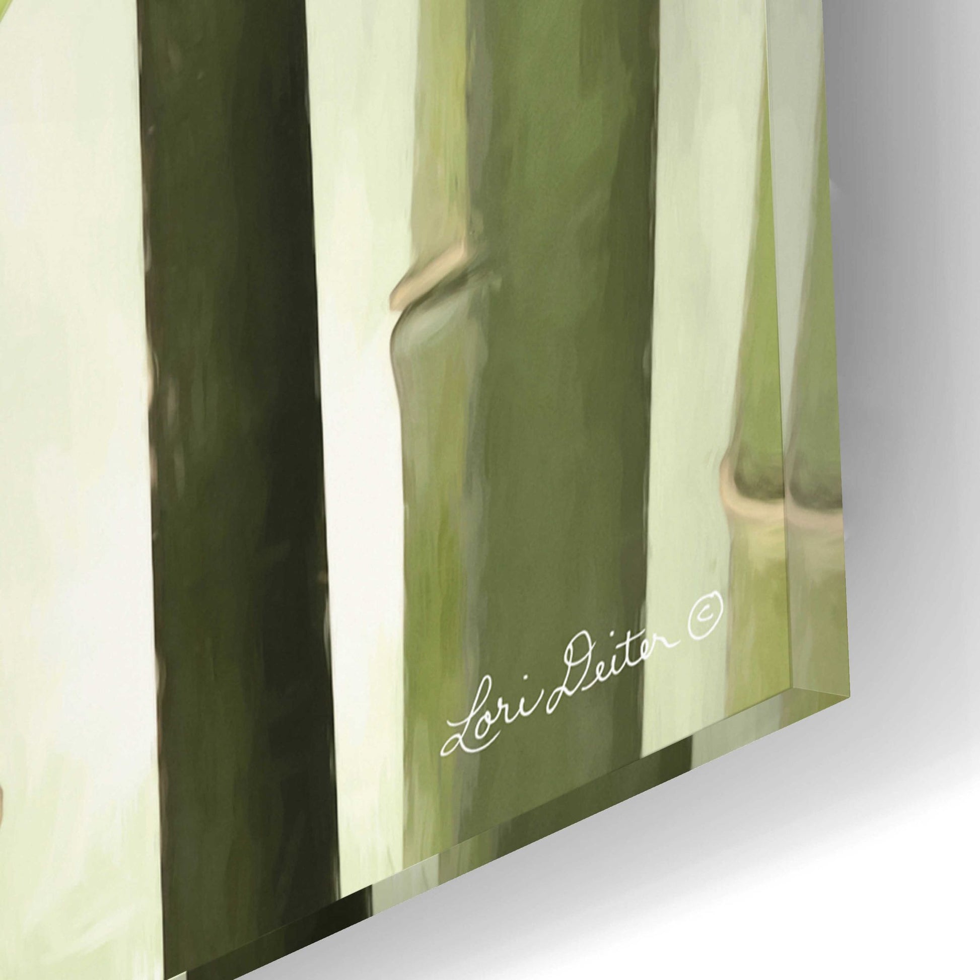 Epic Art 'Backlit Bamboo I' by Lori Deiter Acrylic Glass Wall Art,16x12