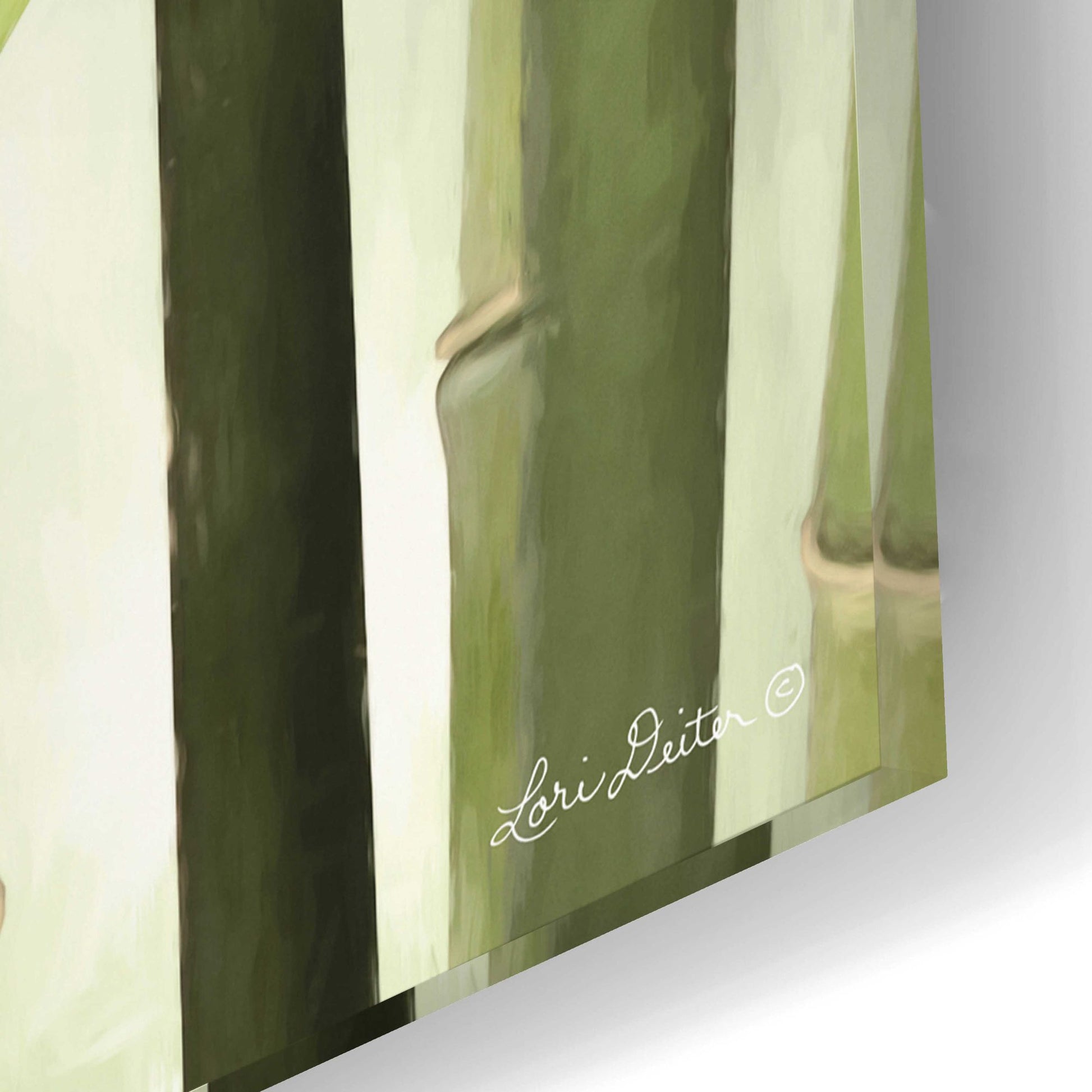 Epic Art 'Backlit Bamboo I' by Lori Deiter Acrylic Glass Wall Art,24x16