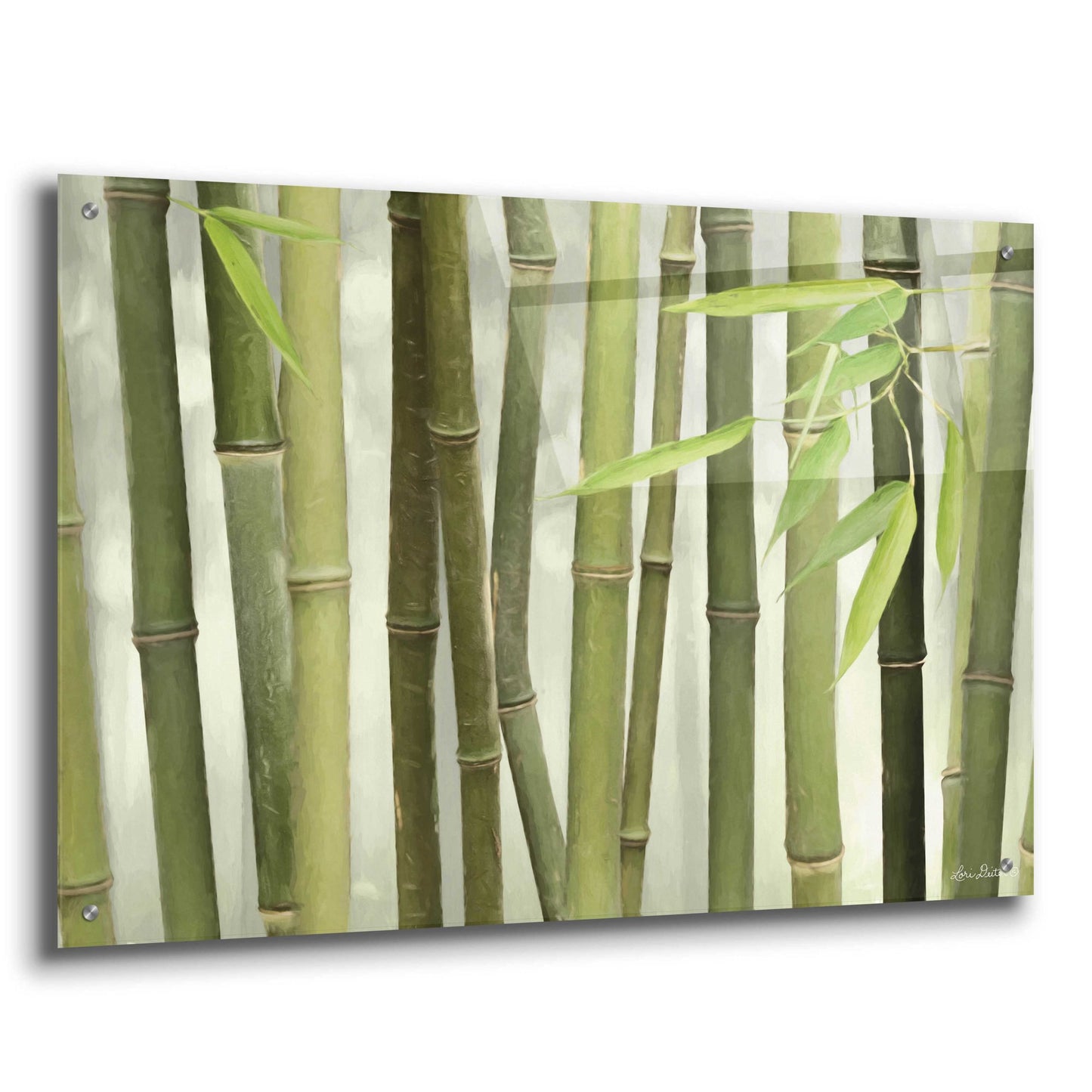 Epic Art 'Backlit Bamboo I' by Lori Deiter Acrylic Glass Wall Art,36x24