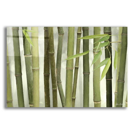 Epic Art 'Backlit Bamboo I' by Lori Deiter Acrylic Glass Wall Art