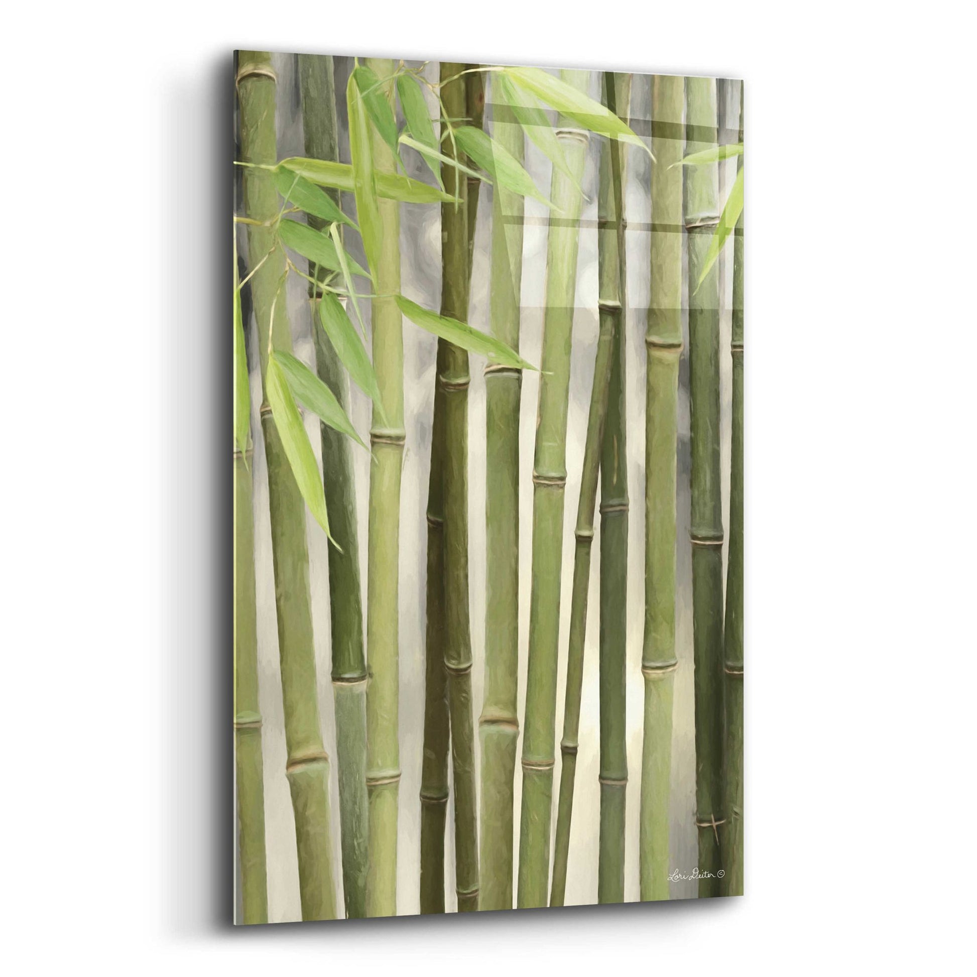 Epic Art 'Backlit Bamboo II' by Lori Deiter Acrylic Glass Wall Art,12x16