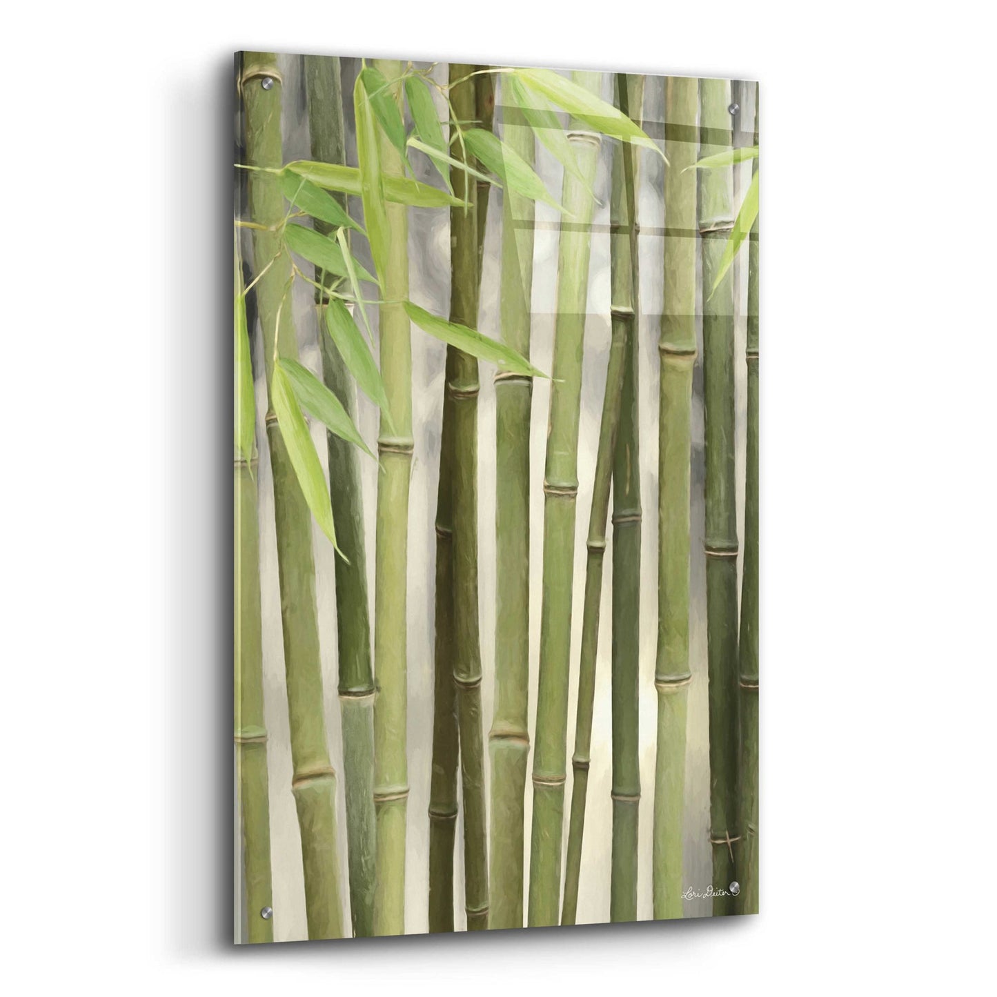 Epic Art 'Backlit Bamboo II' by Lori Deiter Acrylic Glass Wall Art,24x36