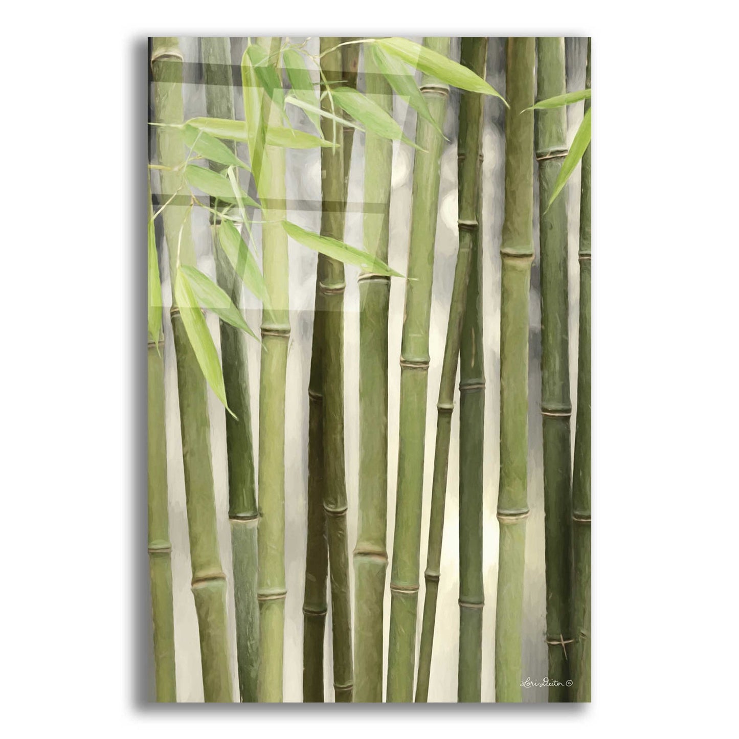 Epic Art 'Backlit Bamboo II' by Lori Deiter Acrylic Glass Wall Art