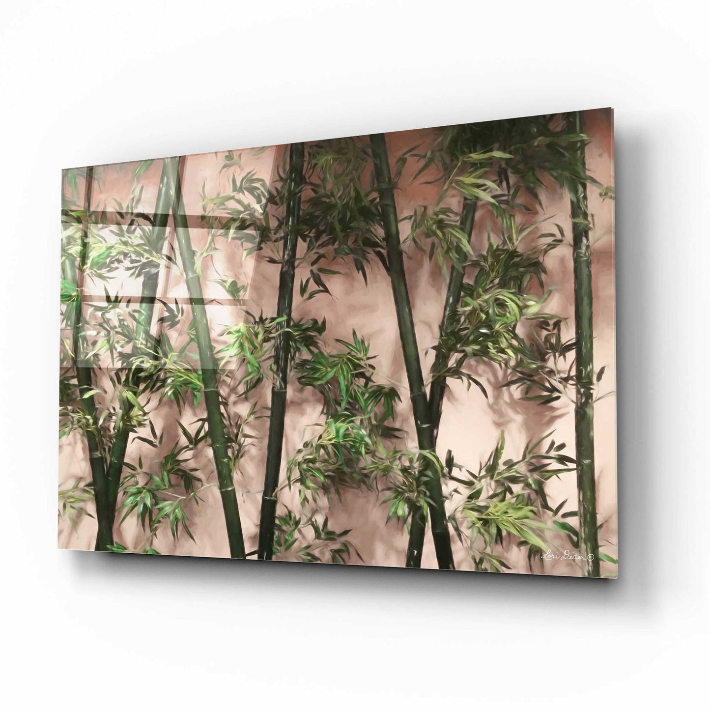 Epic Art 'Bamboo on Blush' by Lori Deiter Acrylic Glass Wall Art,16x12