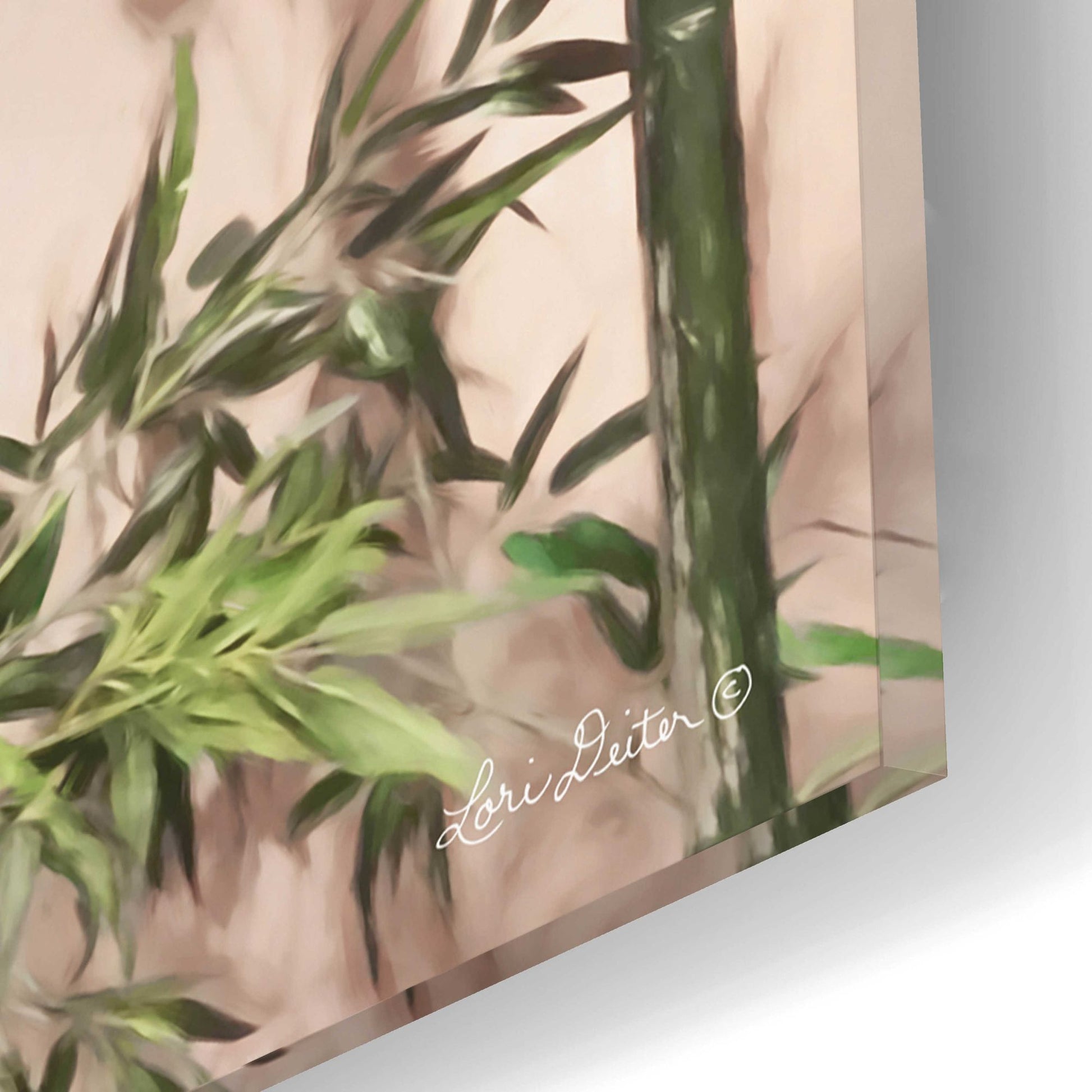 Epic Art 'Bamboo on Blush' by Lori Deiter Acrylic Glass Wall Art,16x12