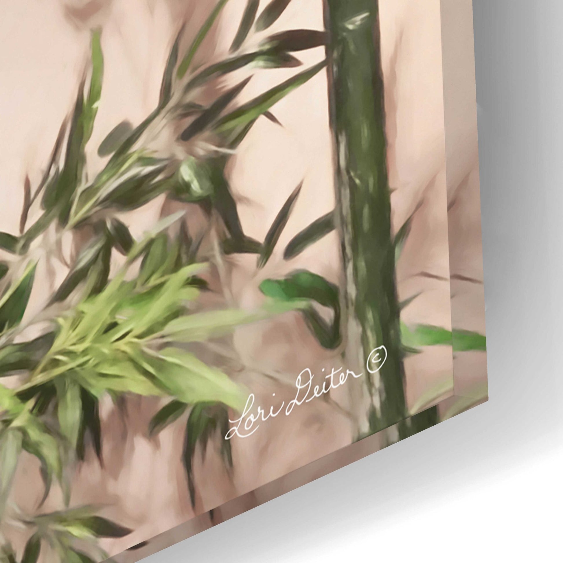 Epic Art 'Bamboo on Blush' by Lori Deiter Acrylic Glass Wall Art,24x16