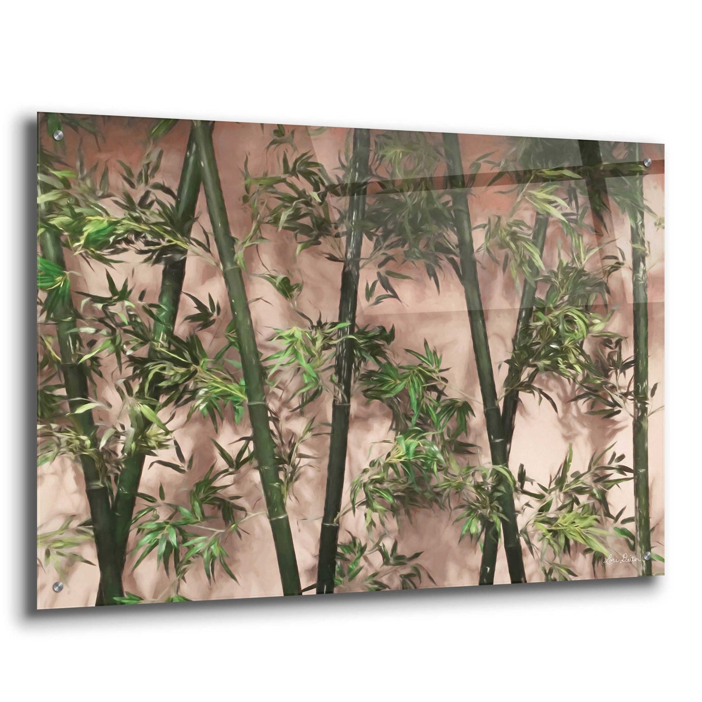 Epic Art 'Bamboo on Blush' by Lori Deiter Acrylic Glass Wall Art,36x24