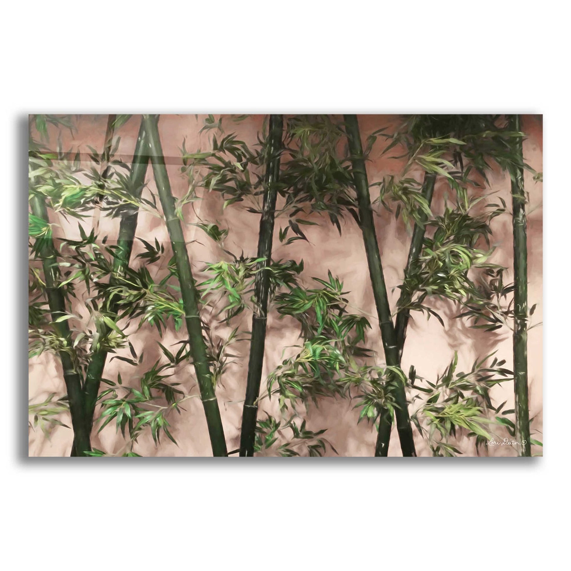 Epic Art 'Bamboo on Blush' by Lori Deiter Acrylic Glass Wall Art