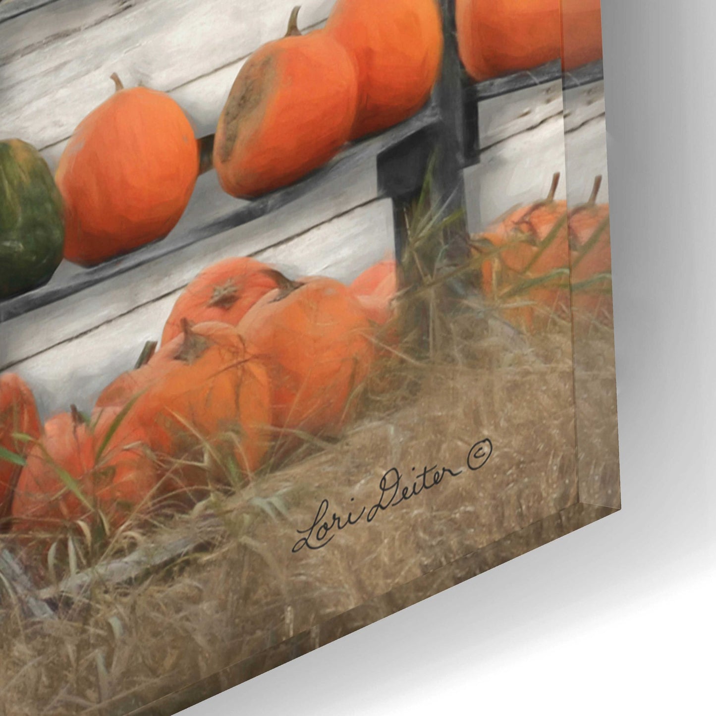 Epic Art 'Pumpkin Farm' by Lori Deiter Acrylic Glass Wall Art,16x12