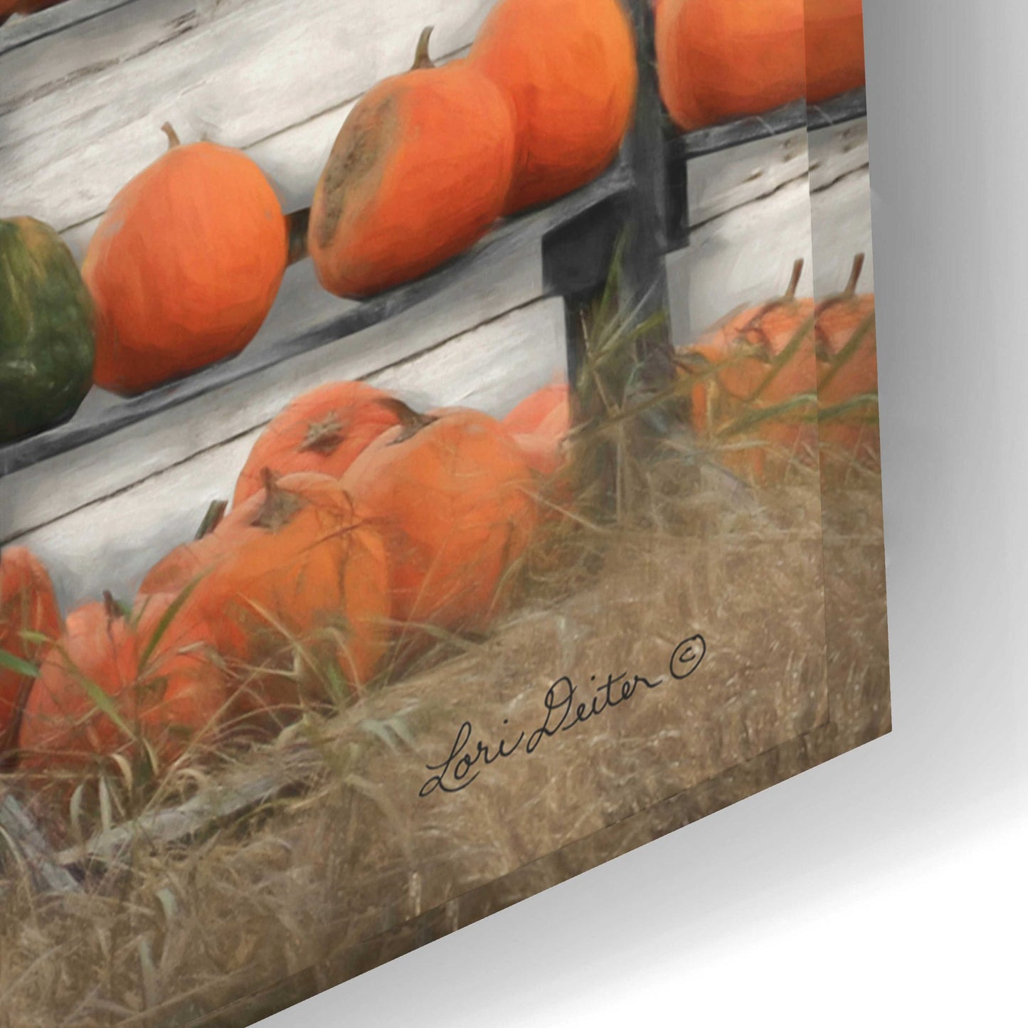 Epic Art 'Pumpkin Farm' by Lori Deiter Acrylic Glass Wall Art,24x16
