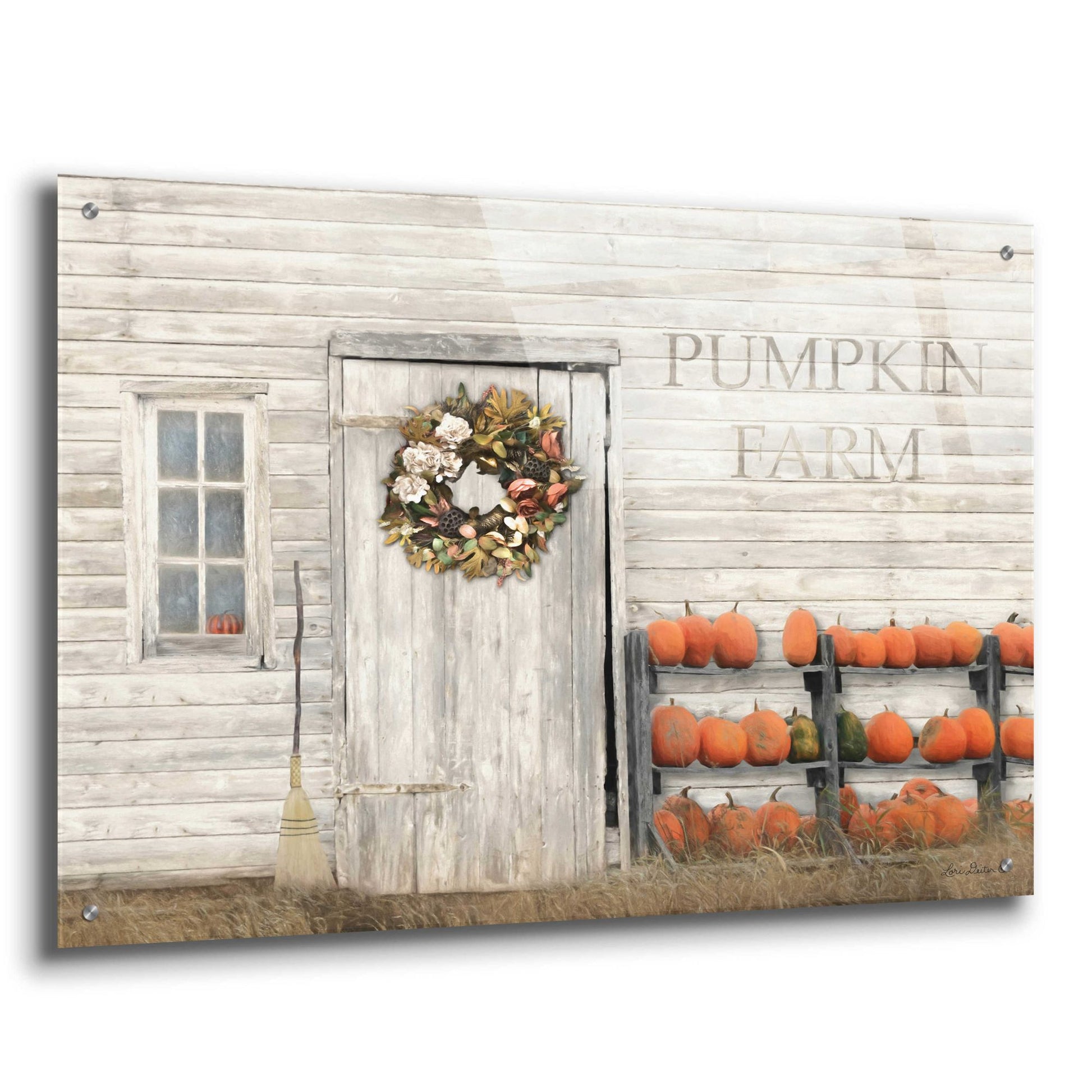 Epic Art 'Pumpkin Farm' by Lori Deiter Acrylic Glass Wall Art,36x24