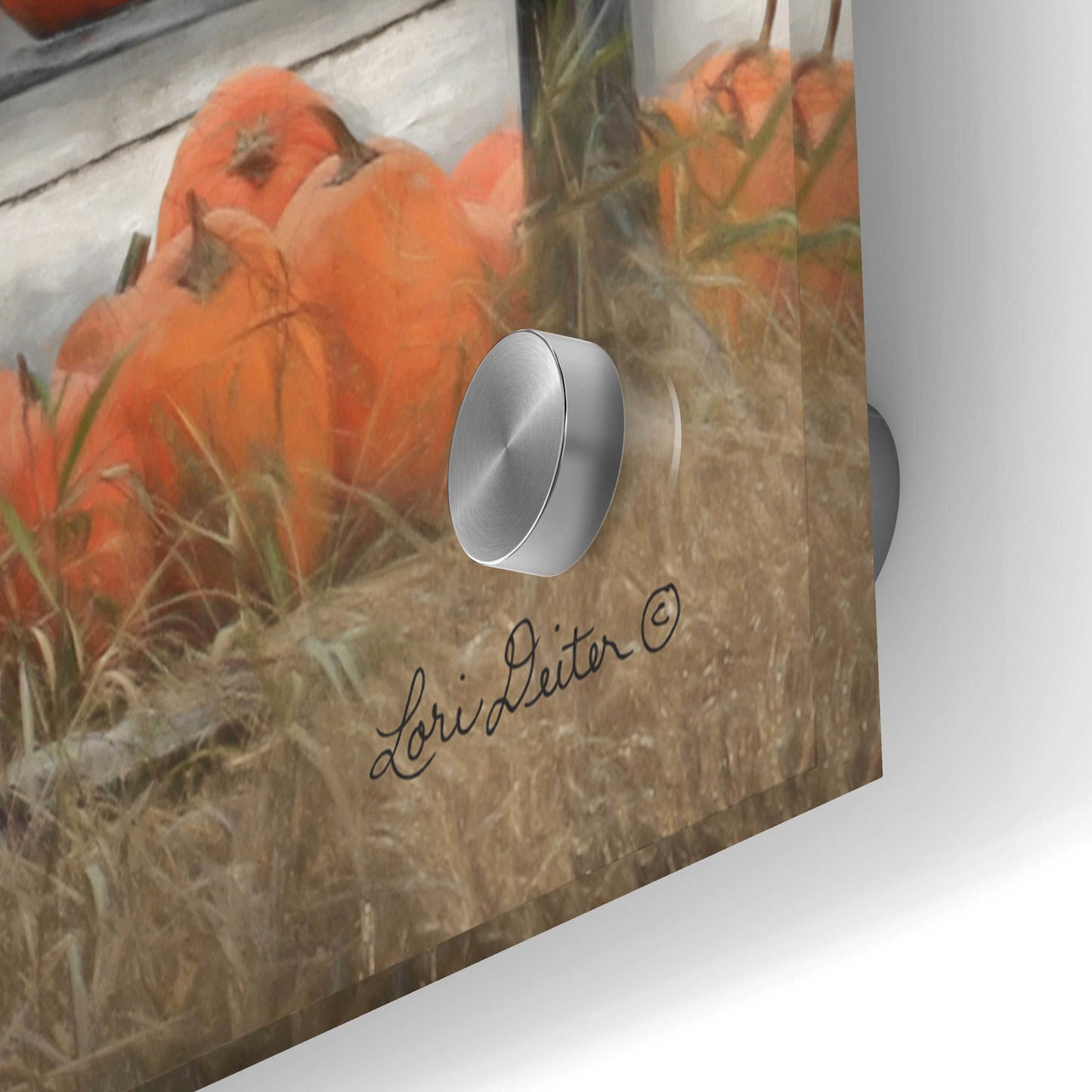 Epic Art 'Pumpkin Farm' by Lori Deiter Acrylic Glass Wall Art,36x24
