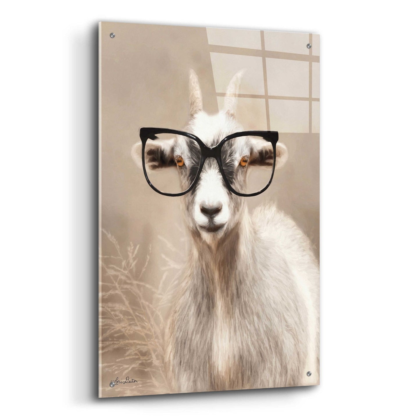 Epic Art 'See Clearly Goat' by Lori Deiter Acrylic Glass Wall Art,24x36