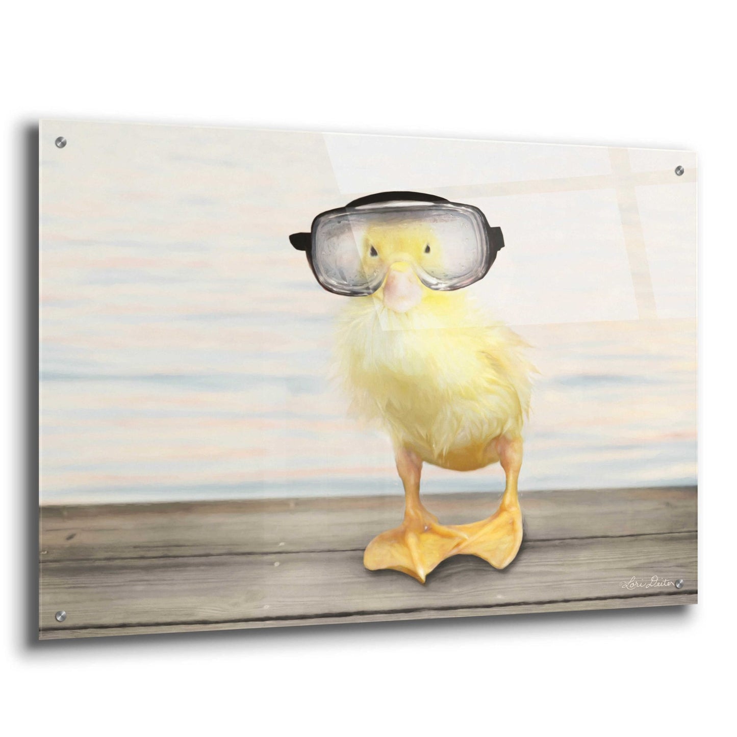 Epic Art 'Diving Duck' by Lori Deiter Acrylic Glass Wall Art,36x24