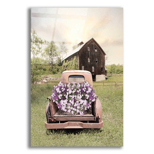 Epic Art 'Petunia Truck' by Lori Deiter Acrylic Glass Wall Art