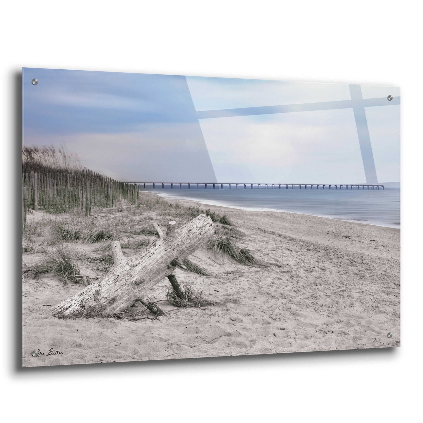 Epic Art 'Outer Banks Beach' by Lori Deiter Acrylic Glass Wall Art,36x24