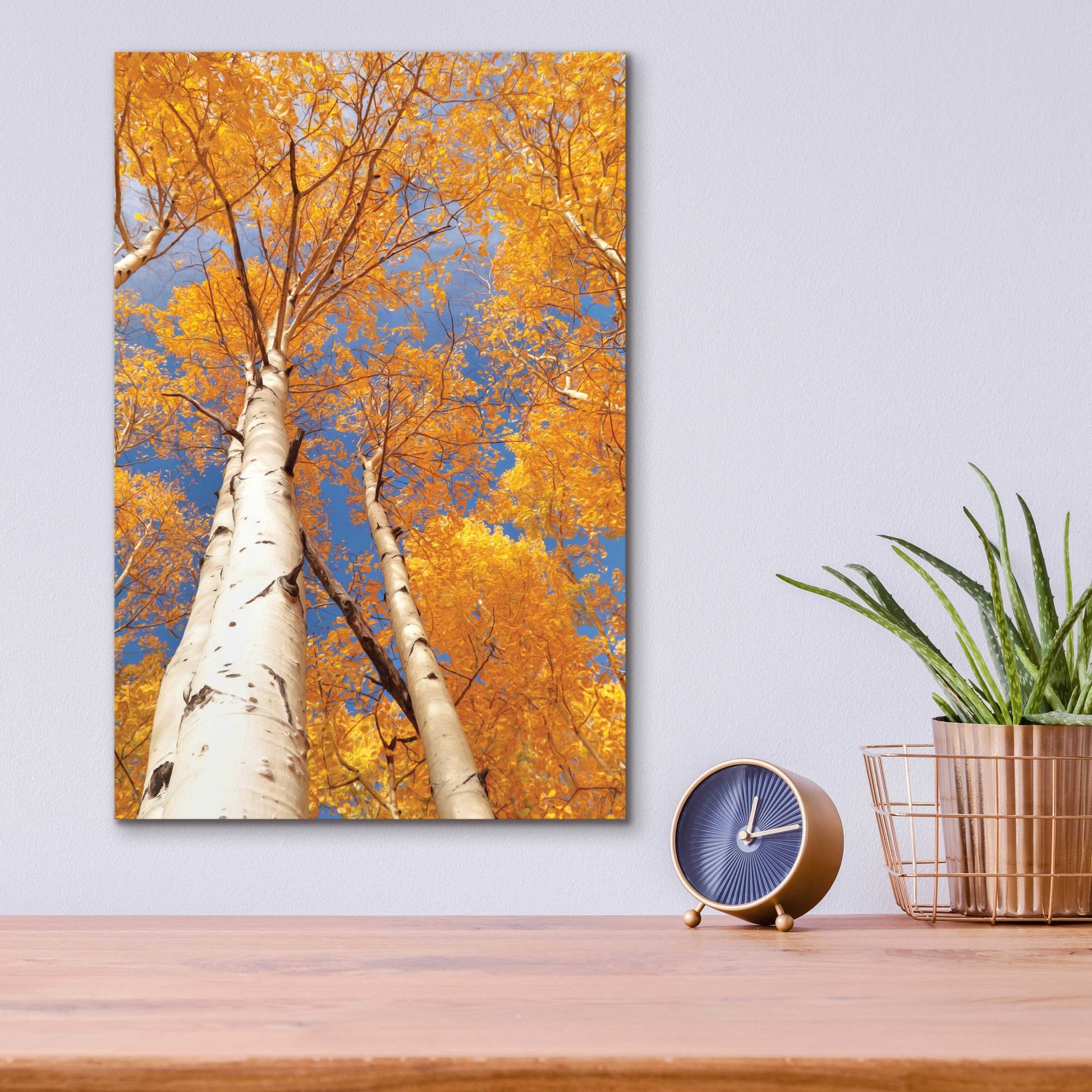 Epic Art 'Aspen I' by Lori Deiter Acrylic Glass Wall Art,12x16