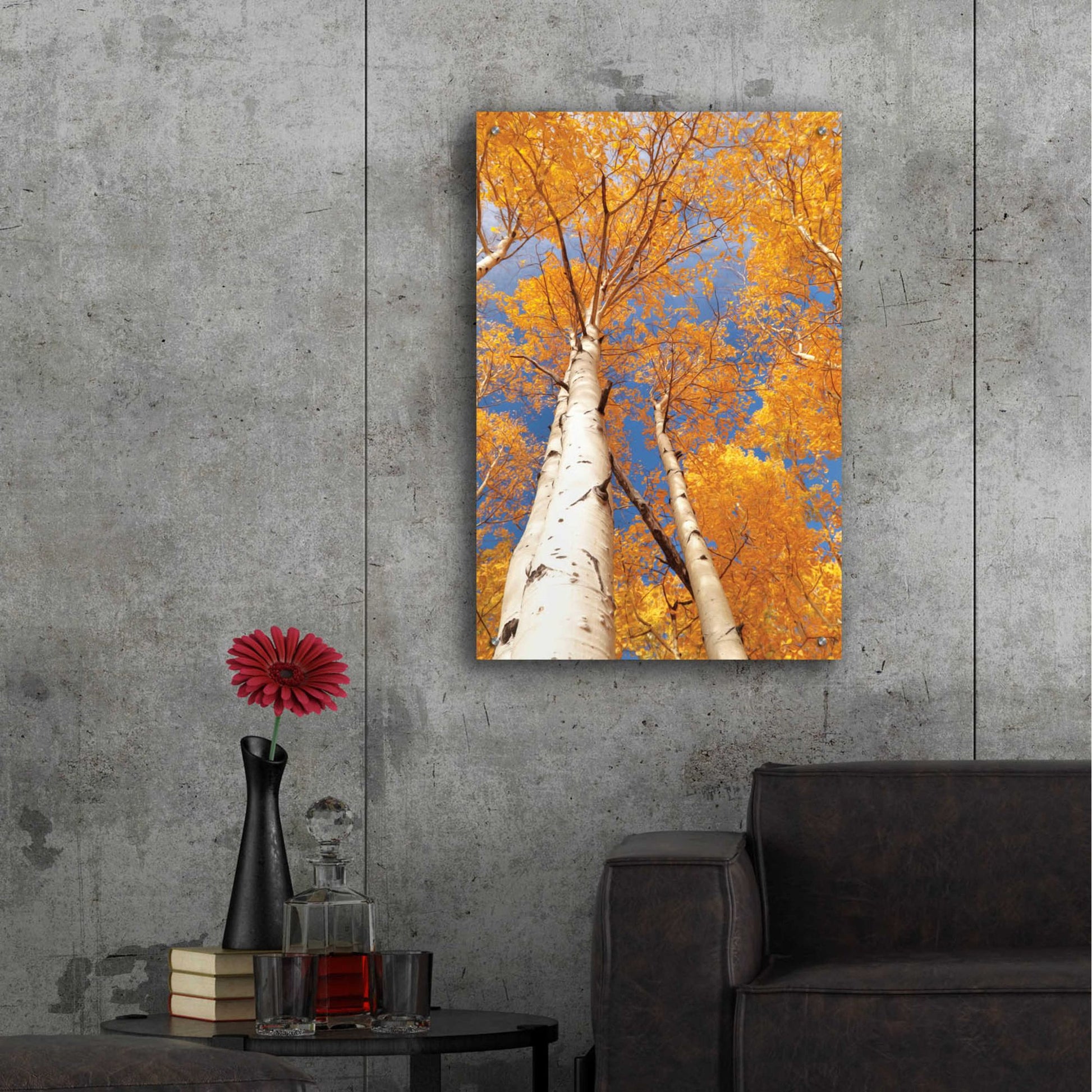 Epic Art 'Aspen I' by Lori Deiter Acrylic Glass Wall Art,24x36