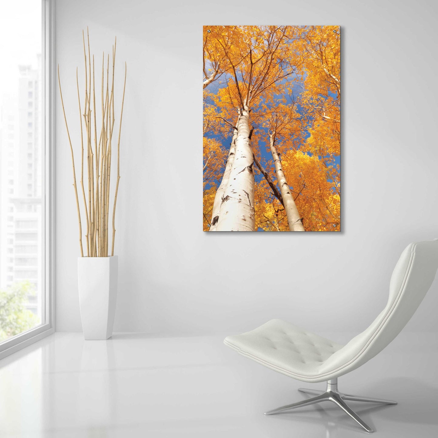 Epic Art 'Aspen I' by Lori Deiter Acrylic Glass Wall Art,24x36