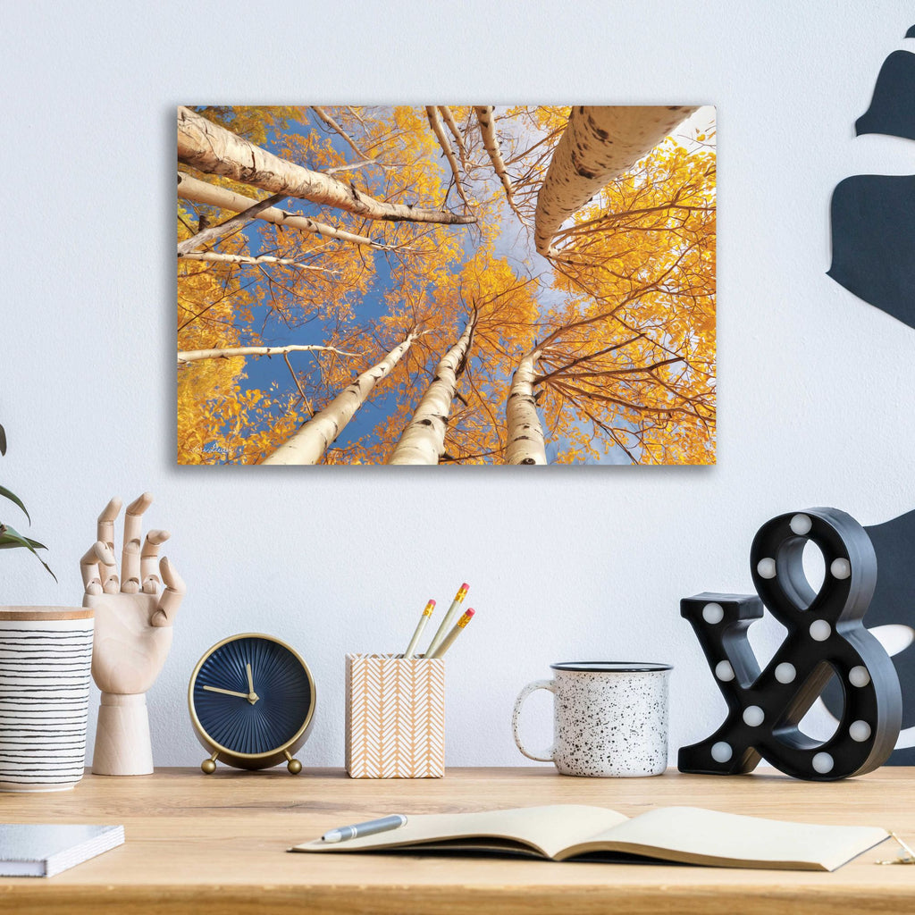 Epic Art 'Aspen II' by Lori Deiter Acrylic Glass Wall Art,16x12