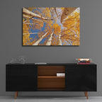 Epic Art 'Aspen II' by Lori Deiter Acrylic Glass Wall Art,36x24