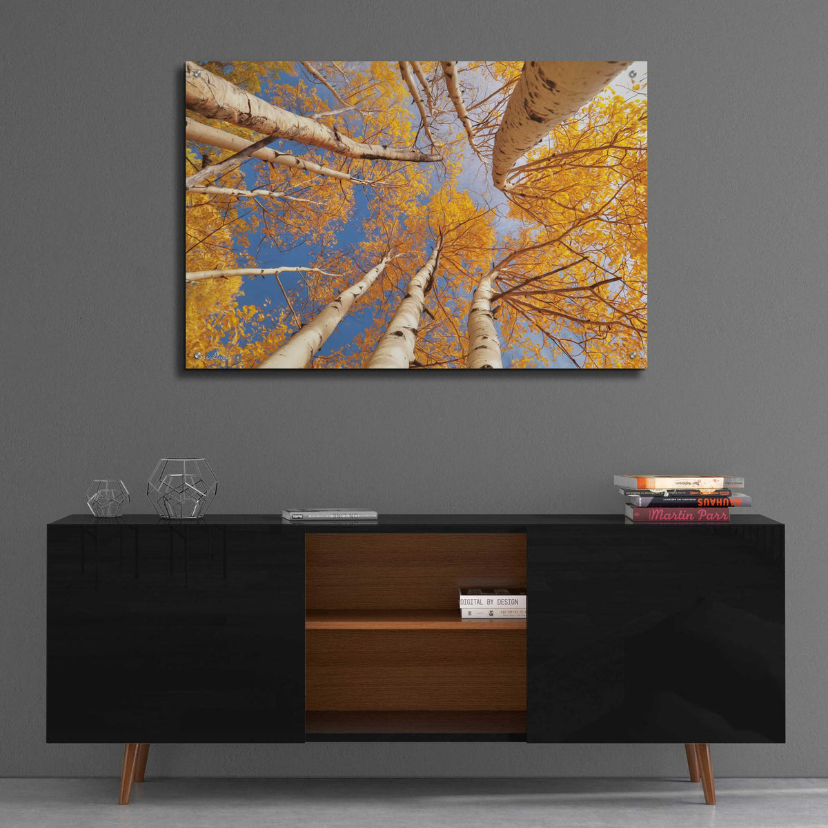 Epic Art 'Aspen II' by Lori Deiter Acrylic Glass Wall Art,36x24