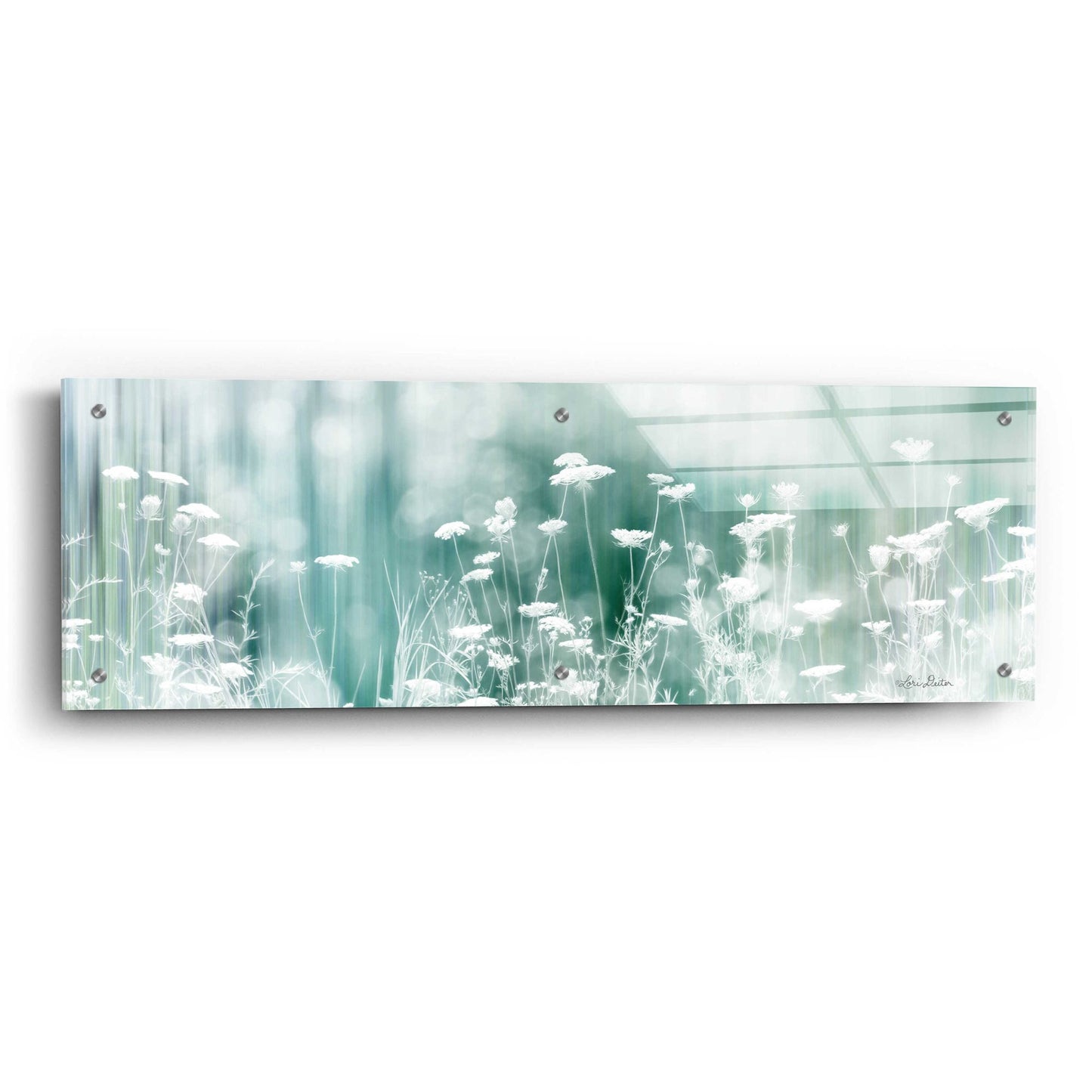 Epic Art 'Dreamy Meadow' by Lori Deiter Acrylic Glass Wall Art,36x12