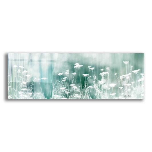 Epic Art 'Dreamy Meadow' by Lori Deiter Acrylic Glass Wall Art,3:1