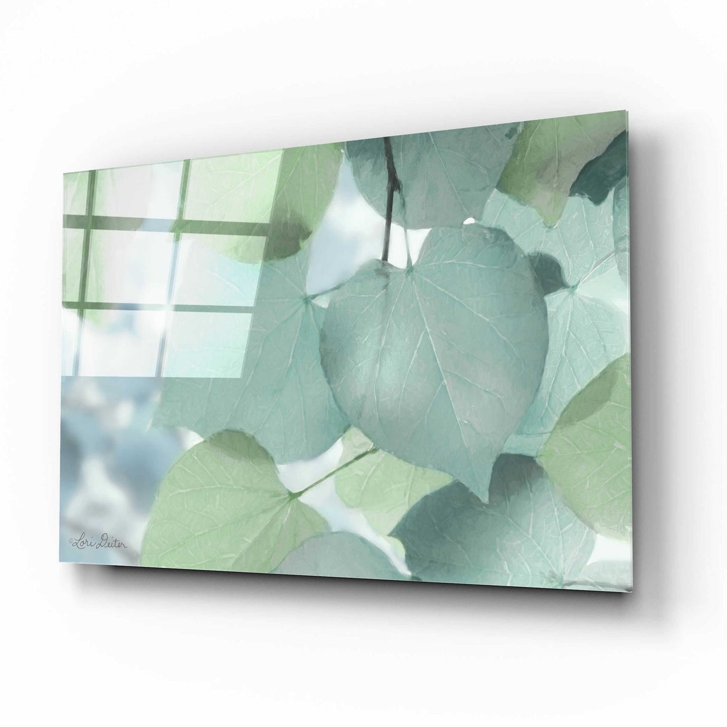 Epic Art 'Aqua Leaves' by Lori Deiter Acrylic Glass Wall Art,16x12