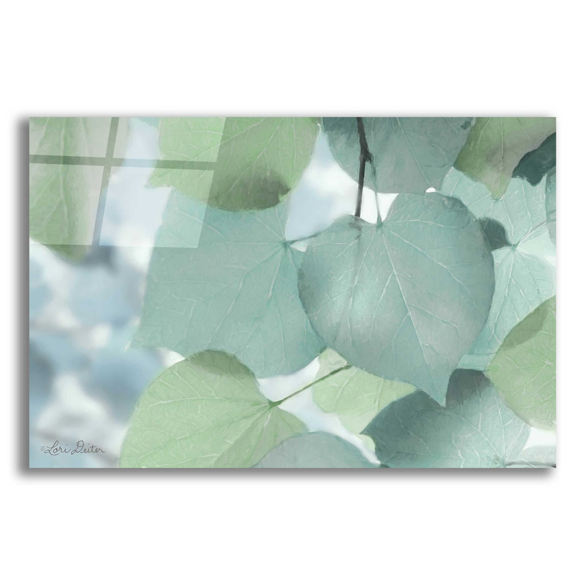 Epic Art 'Aqua Leaves' by Lori Deiter Acrylic Glass Wall Art,24x16