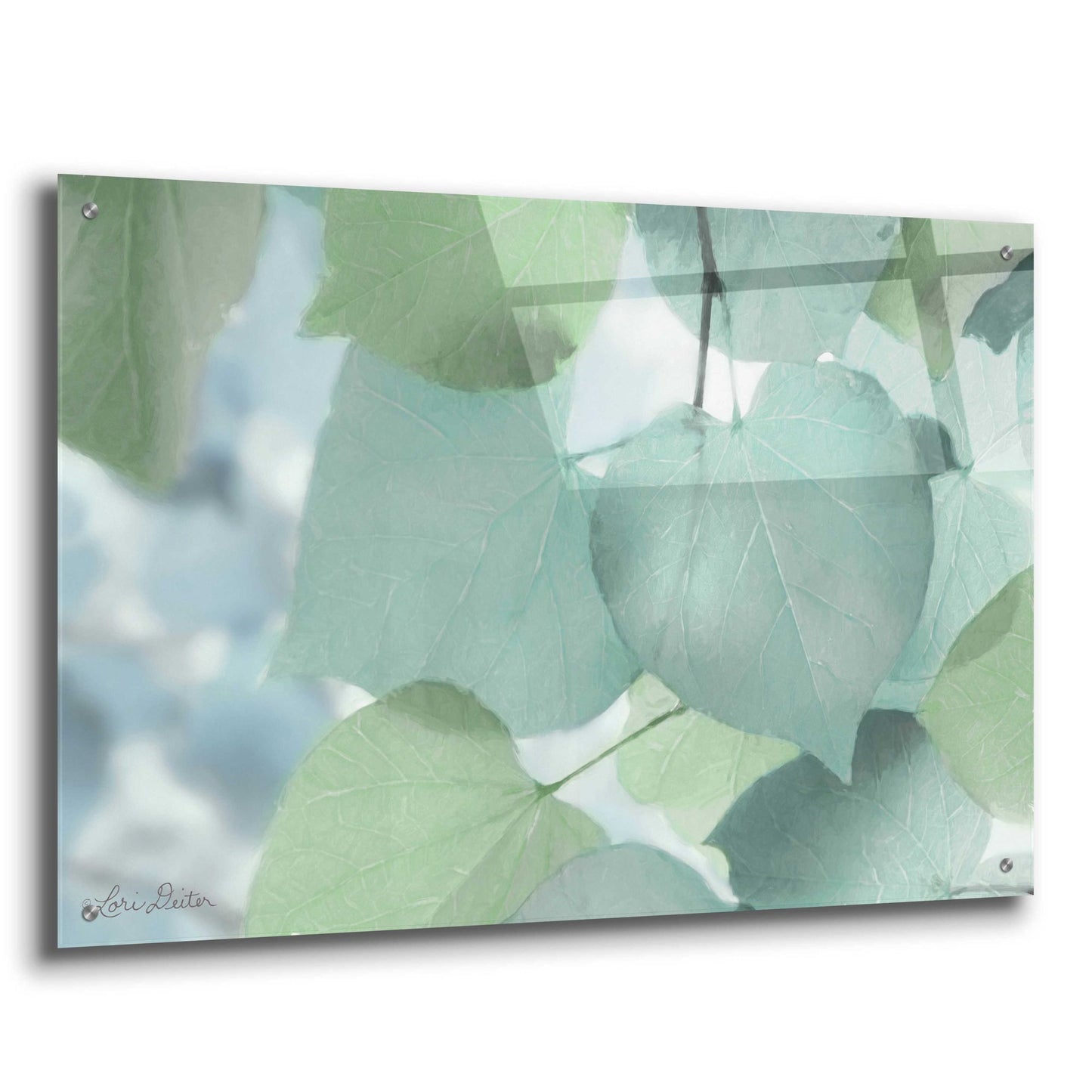 Epic Art 'Aqua Leaves' by Lori Deiter Acrylic Glass Wall Art,36x24