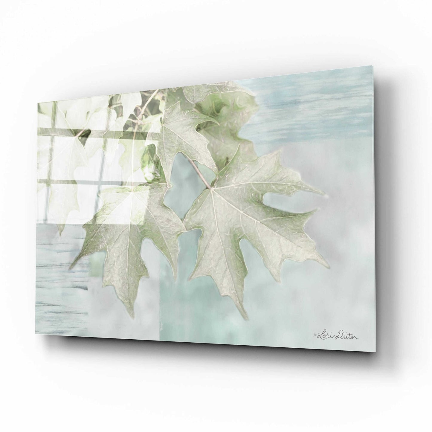 Epic Art 'The Maple Leaves' by Lori Deiter Acrylic Glass Wall Art,16x12