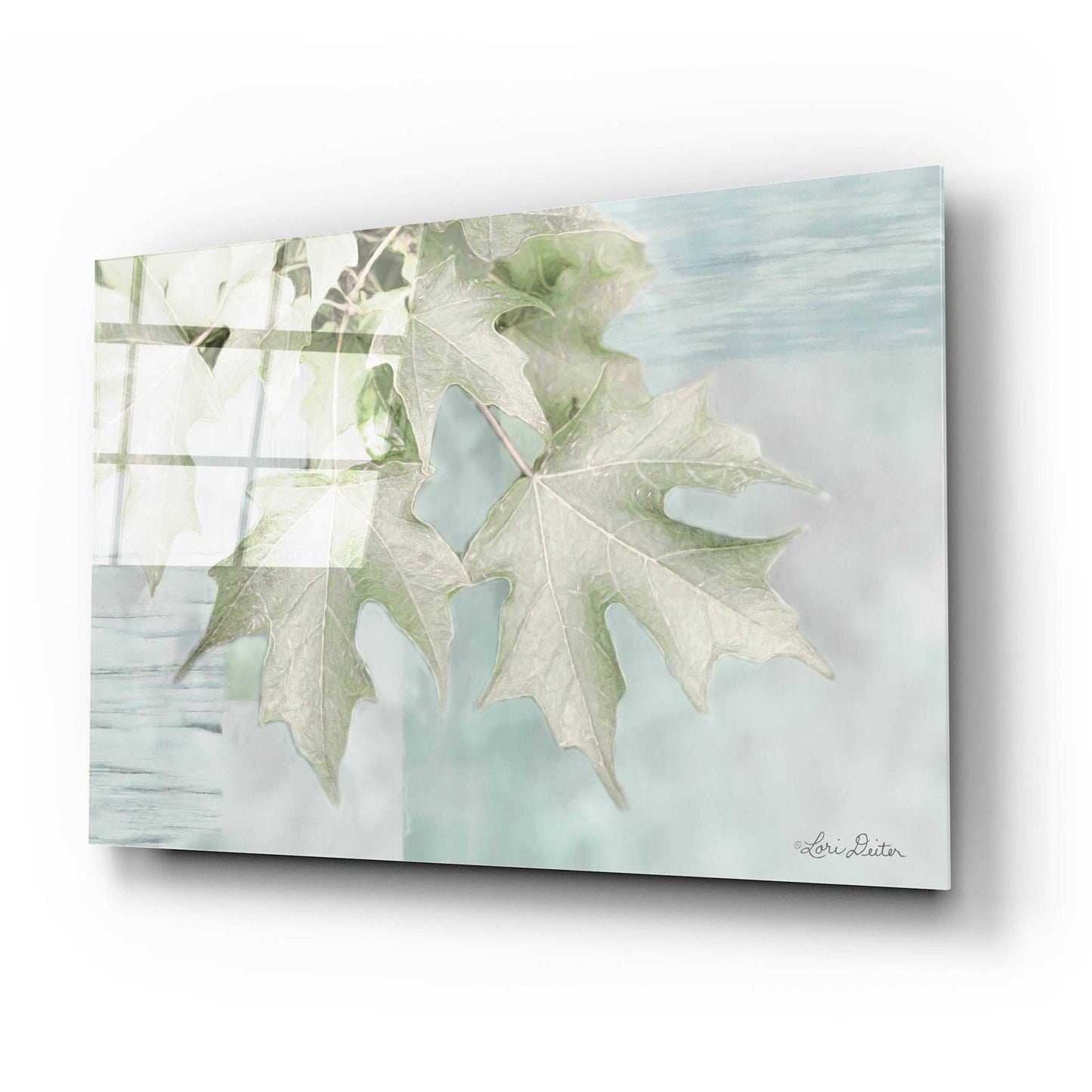 Epic Art 'The Maple Leaves' by Lori Deiter Acrylic Glass Wall Art,24x16