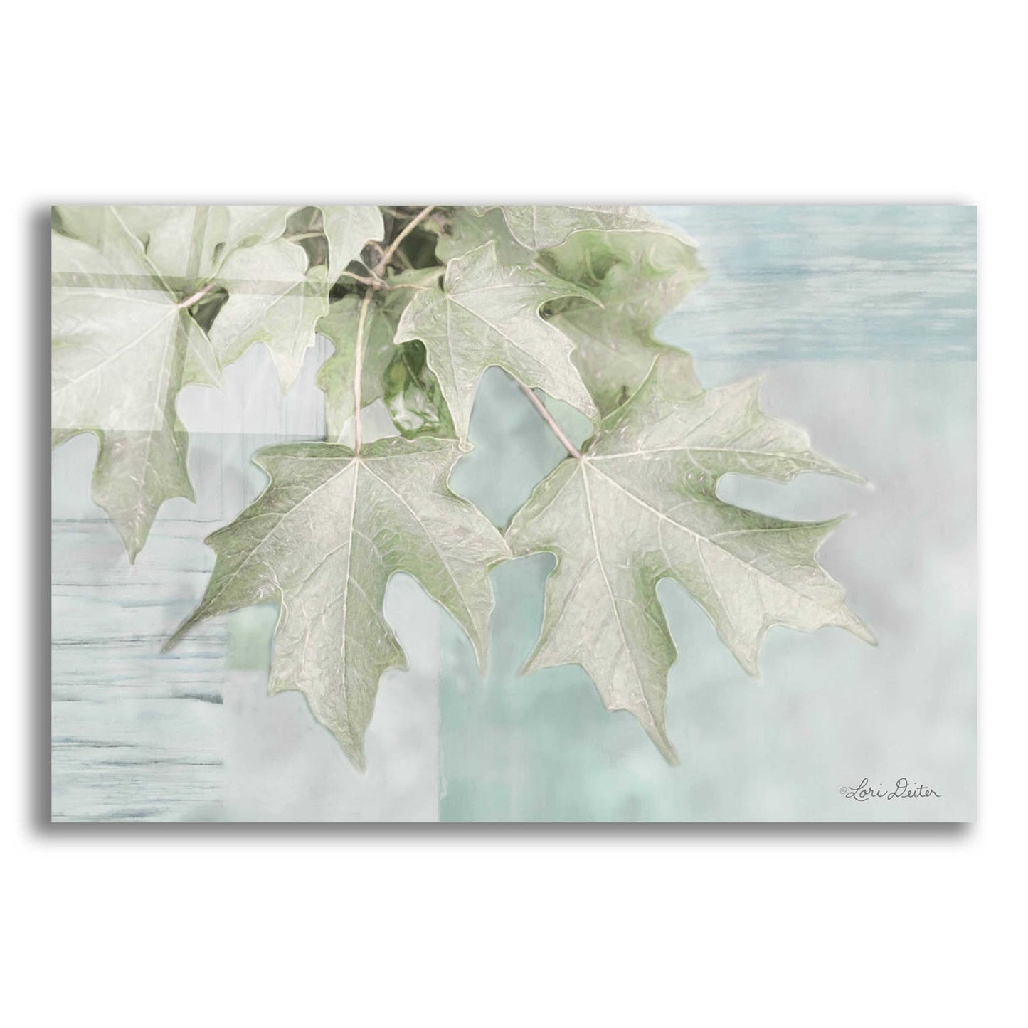 Epic Art 'The Maple Leaves' by Lori Deiter Acrylic Glass Wall Art,24x16