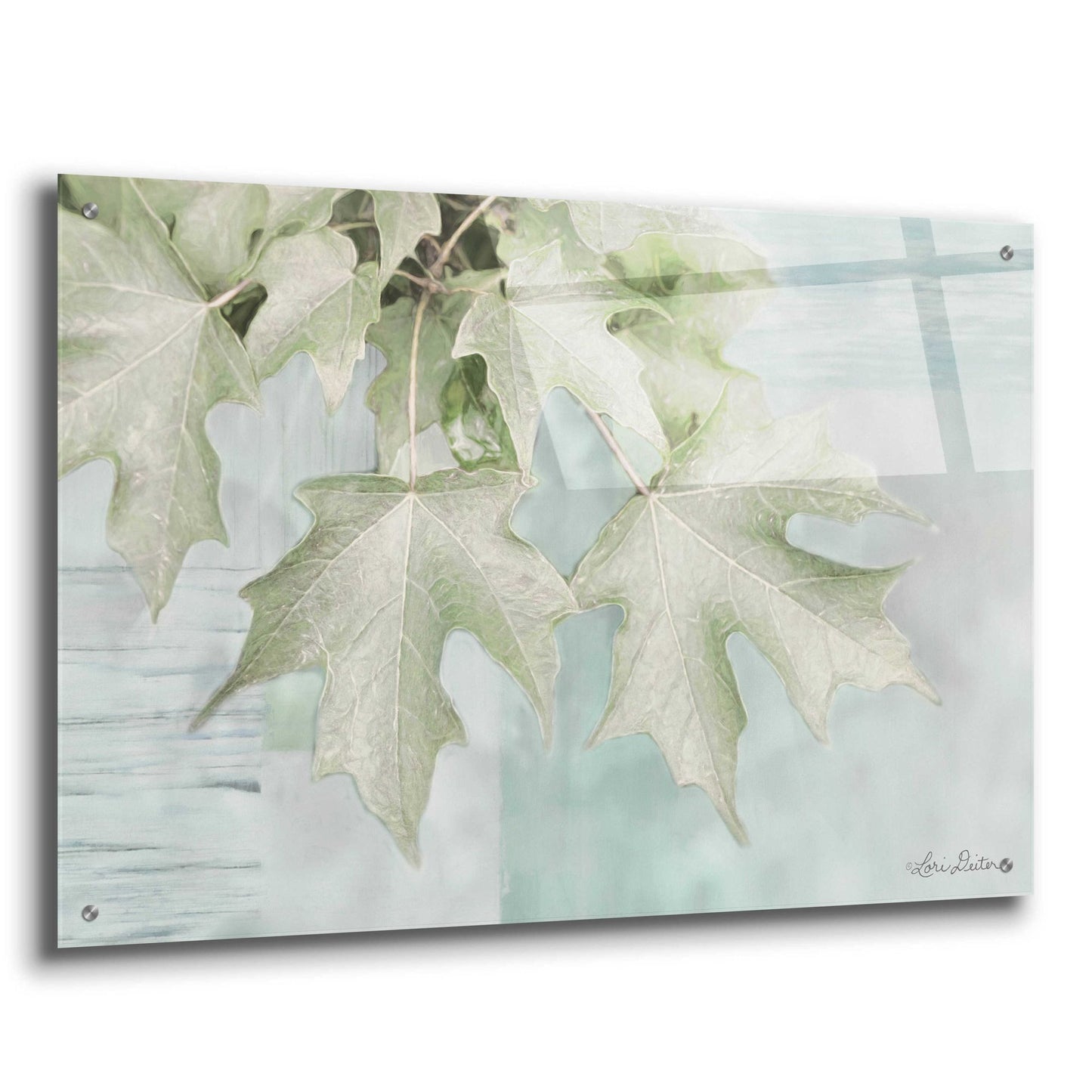 Epic Art 'The Maple Leaves' by Lori Deiter Acrylic Glass Wall Art,36x24