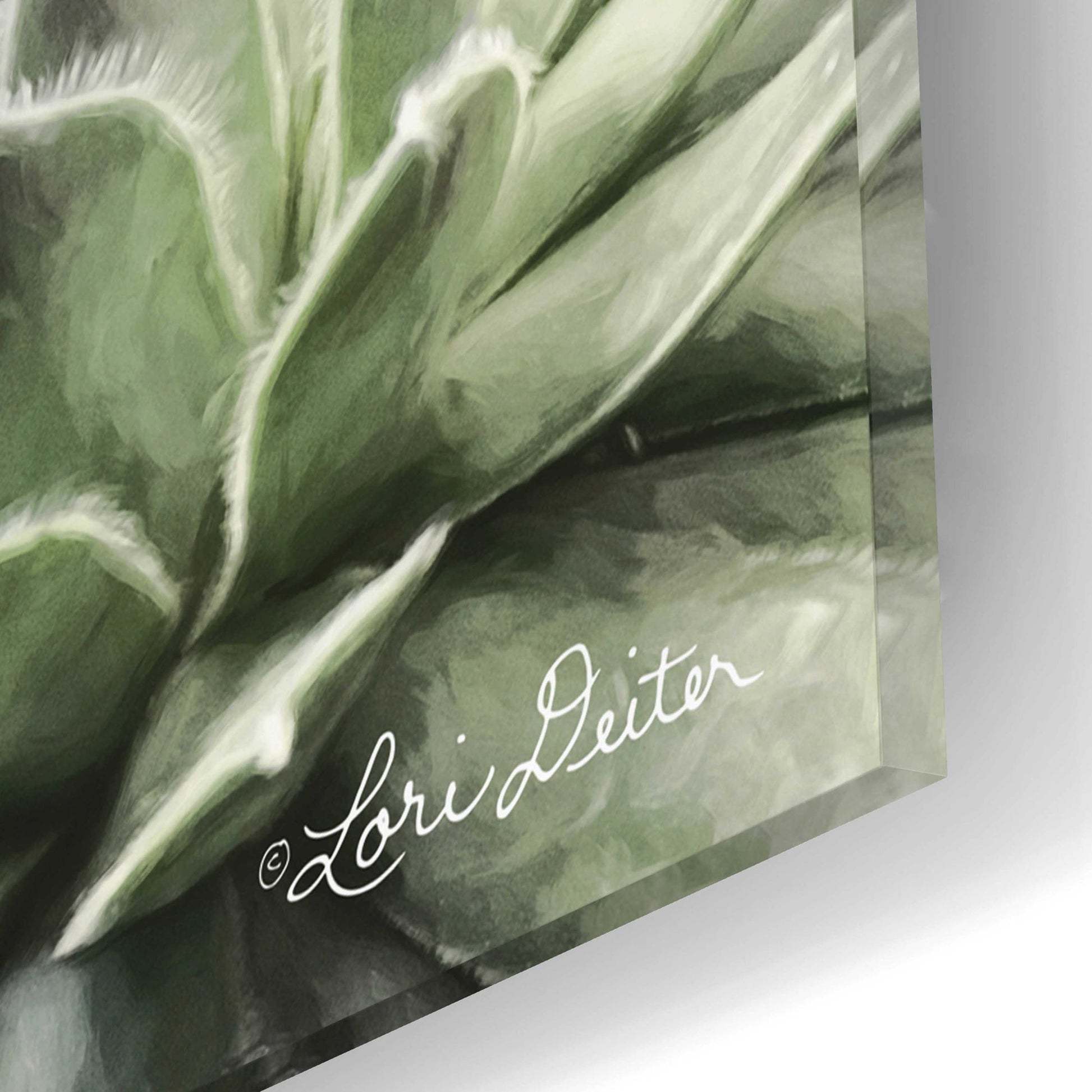 Epic Art 'Grow in Grace' by Lori Deiter Acrylic Glass Wall Art,16x12